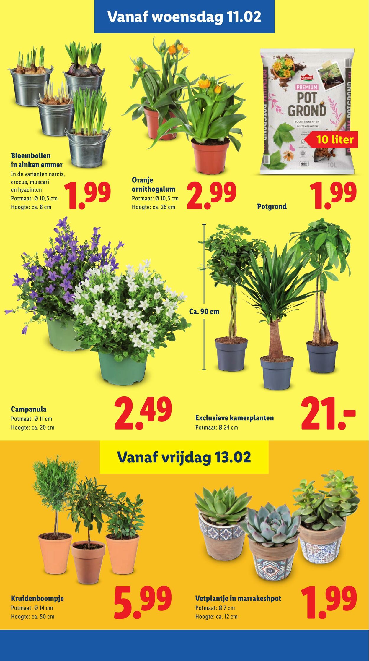 Folder Lidl 09.02.2026 - 15.02.2026