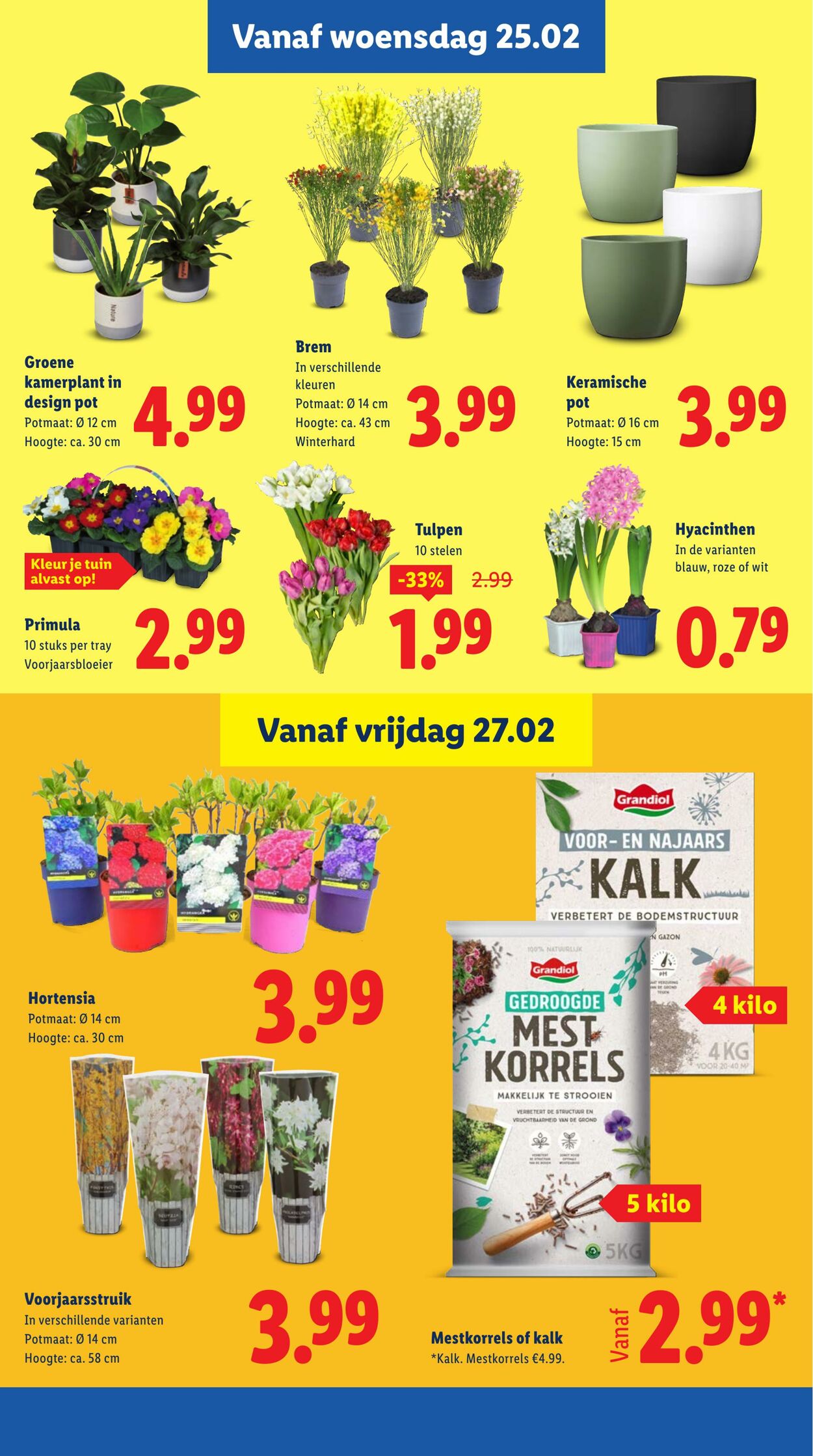 Folder Lidl 23.02.2026 - 01.03.2026