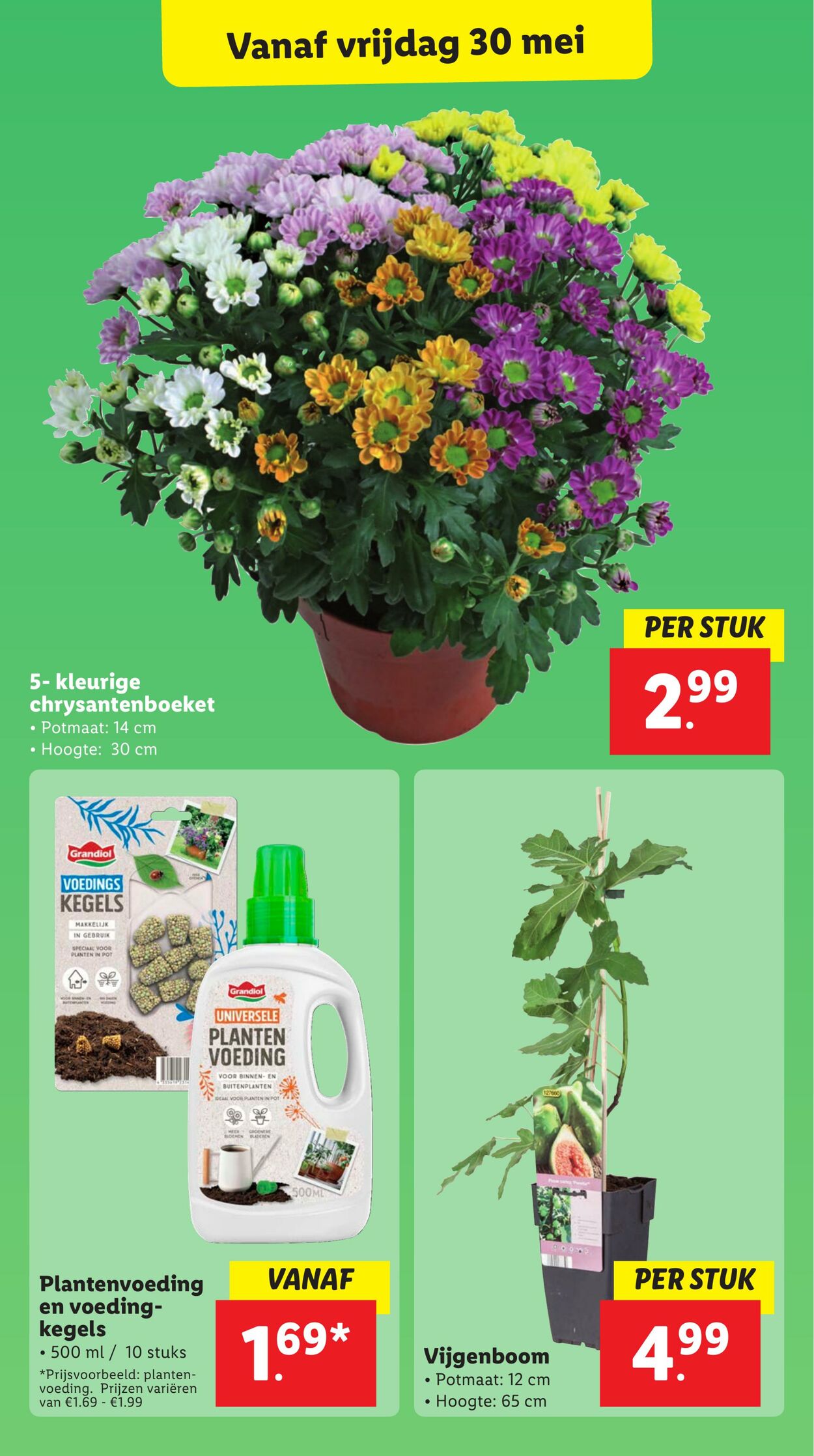Folder Lidl 28.05.2025 - 03.06.2025
