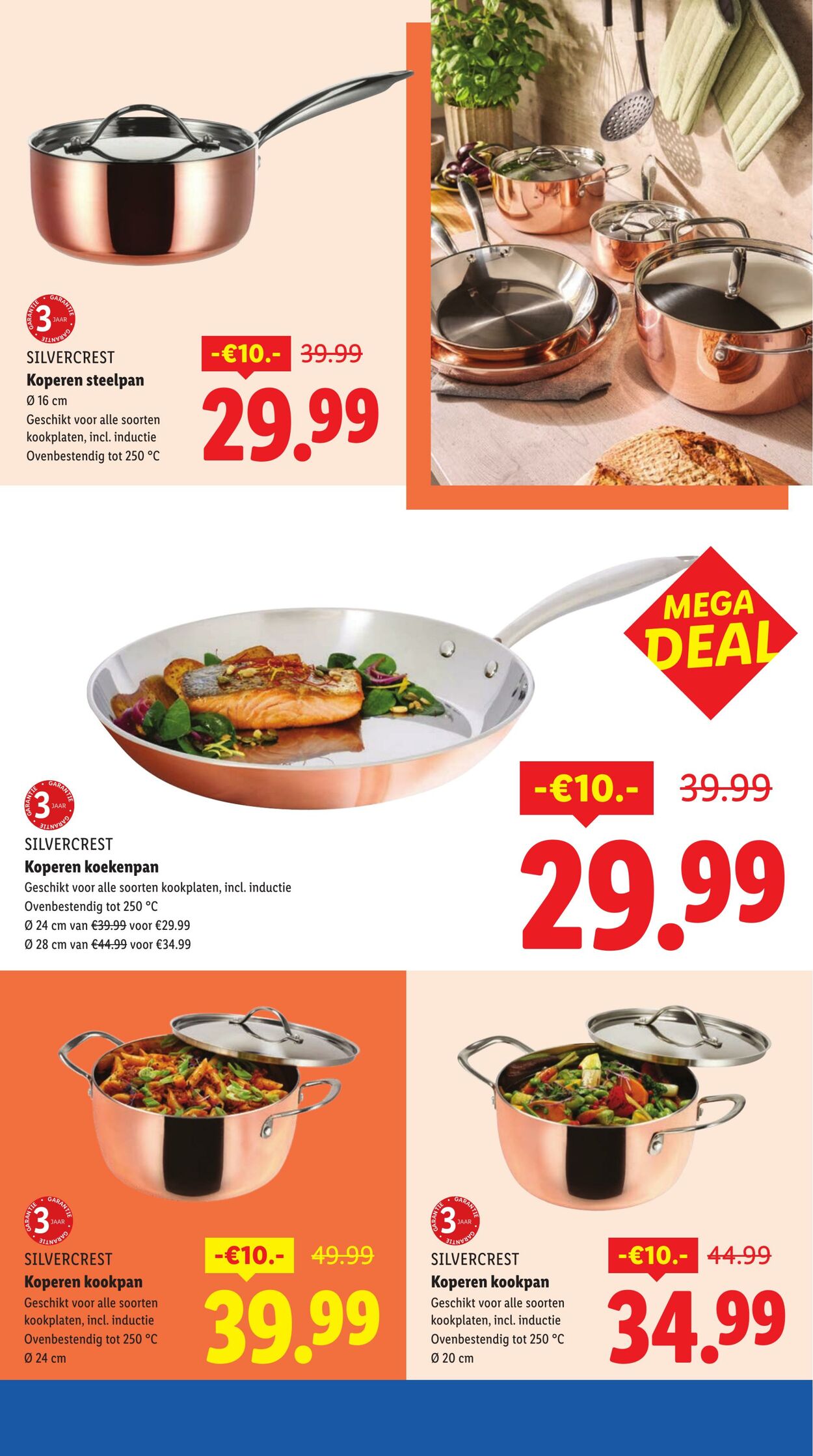 Folder Lidl 08.10.2025 - 14.10.2025