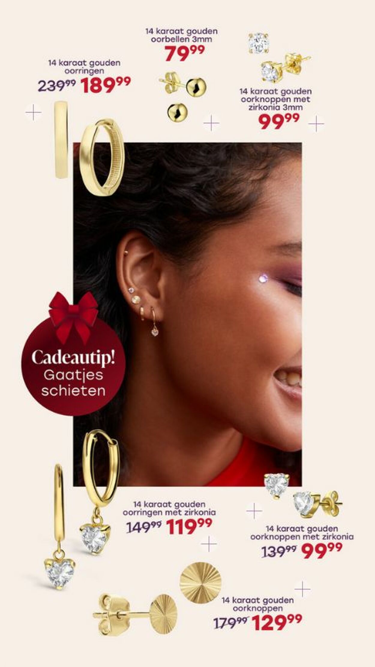 Folder Lucardi 08.12.2025 - 31.12.2025