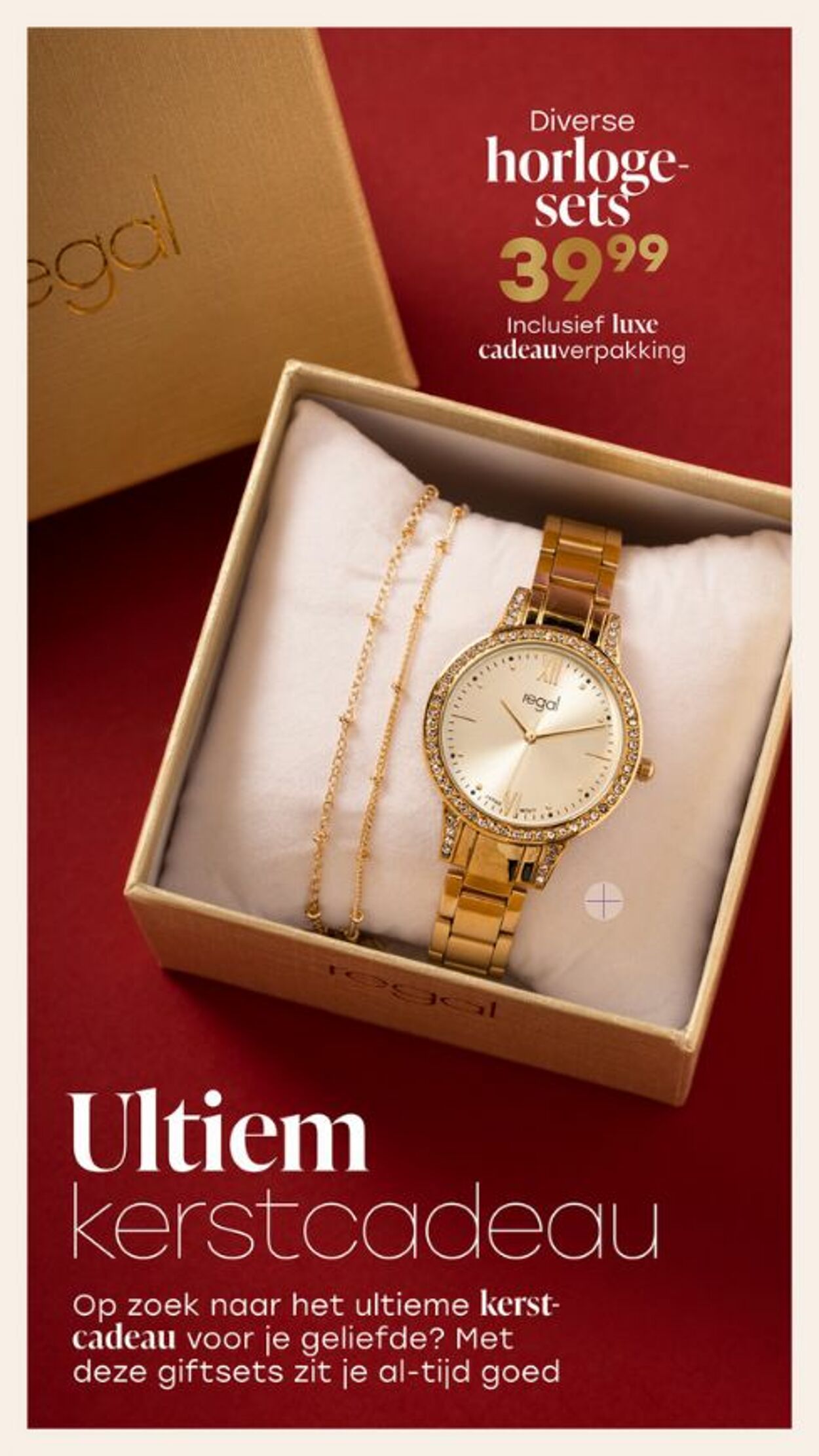 Folder Lucardi 08.12.2025 - 31.12.2025