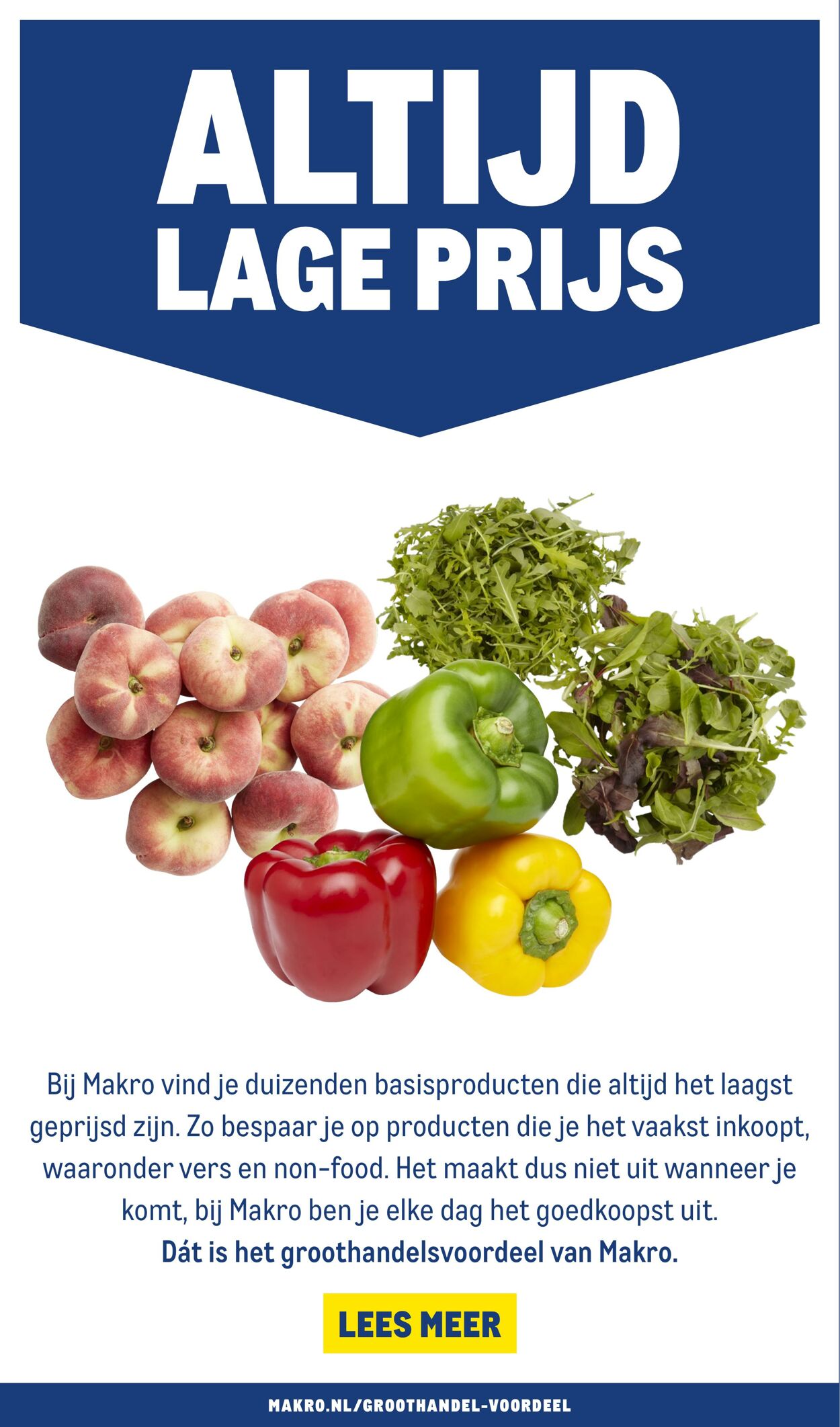 Folder Makro 24.05.2023 - 06.06.2023