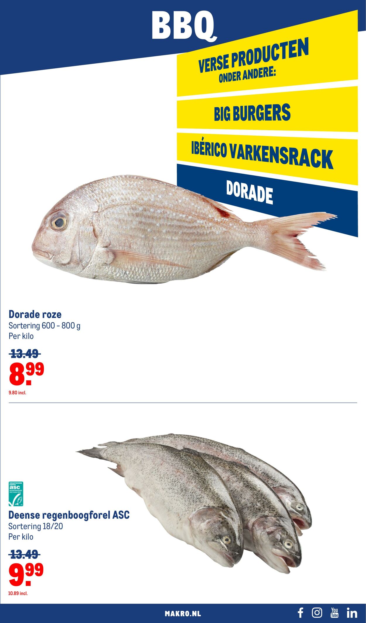 Folder Makro 21.06.2023 - 04.07.2023