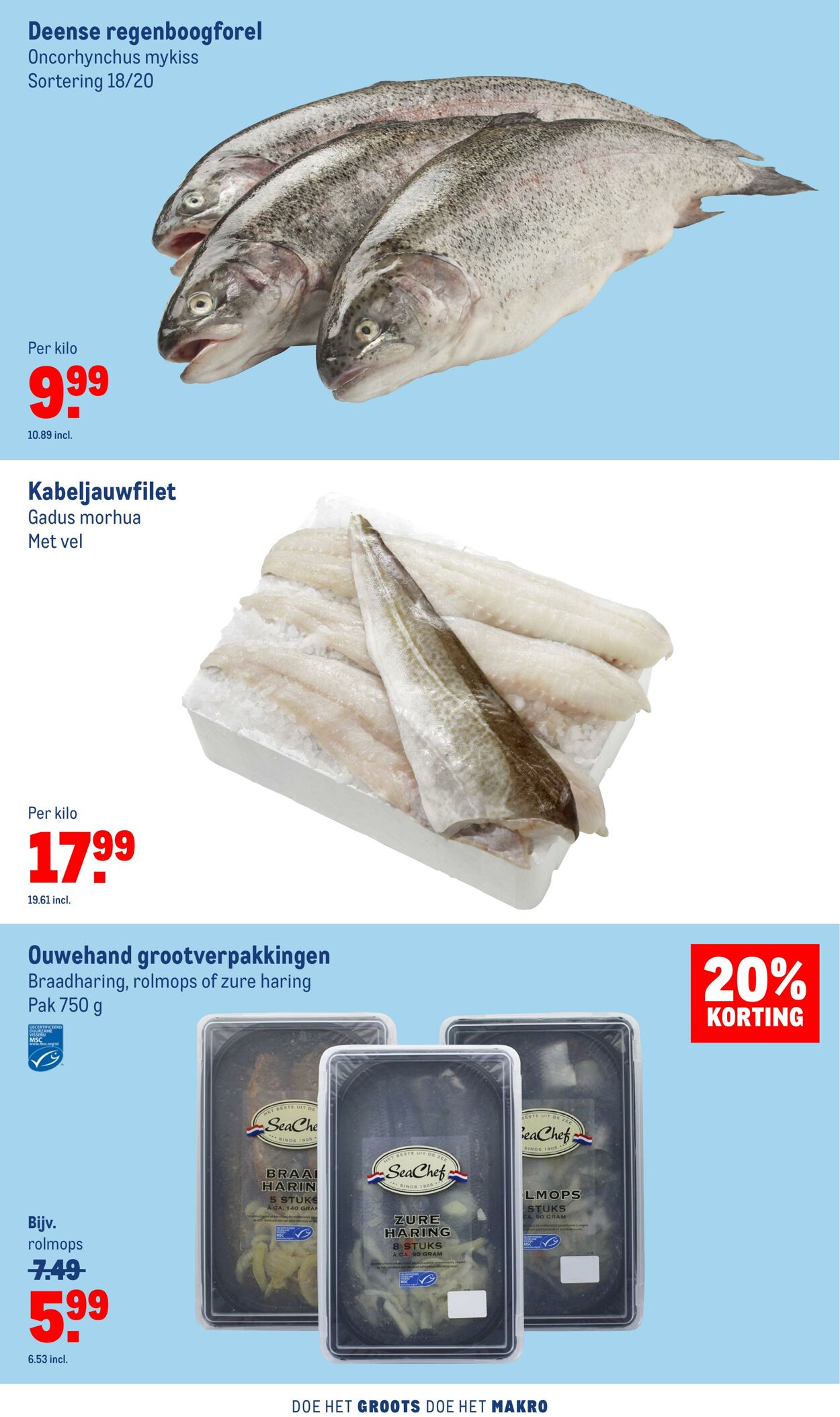 Folder Makro 04.01.2023 - 31.01.2023