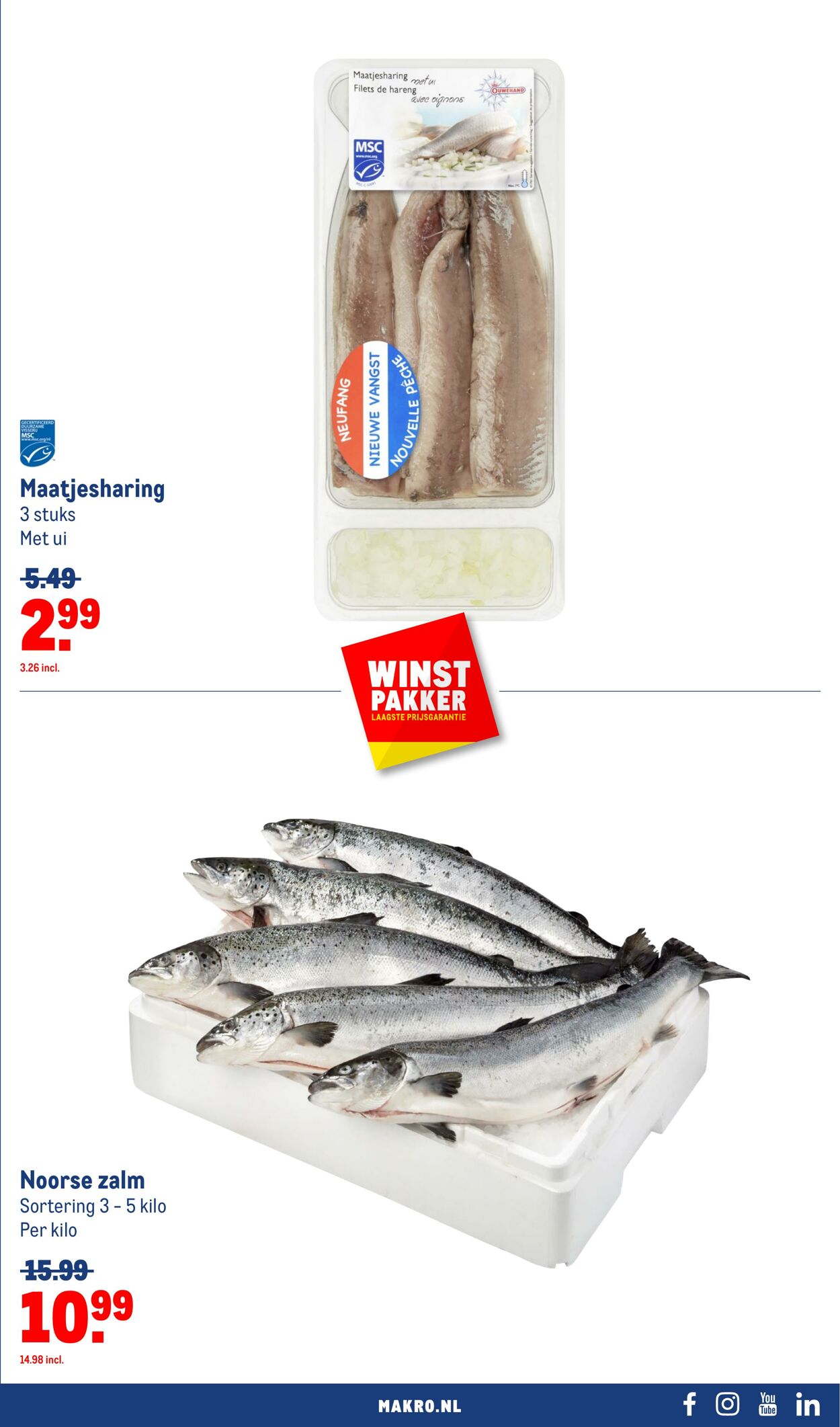 Folder Makro 19.06.2024 - 02.07.2024