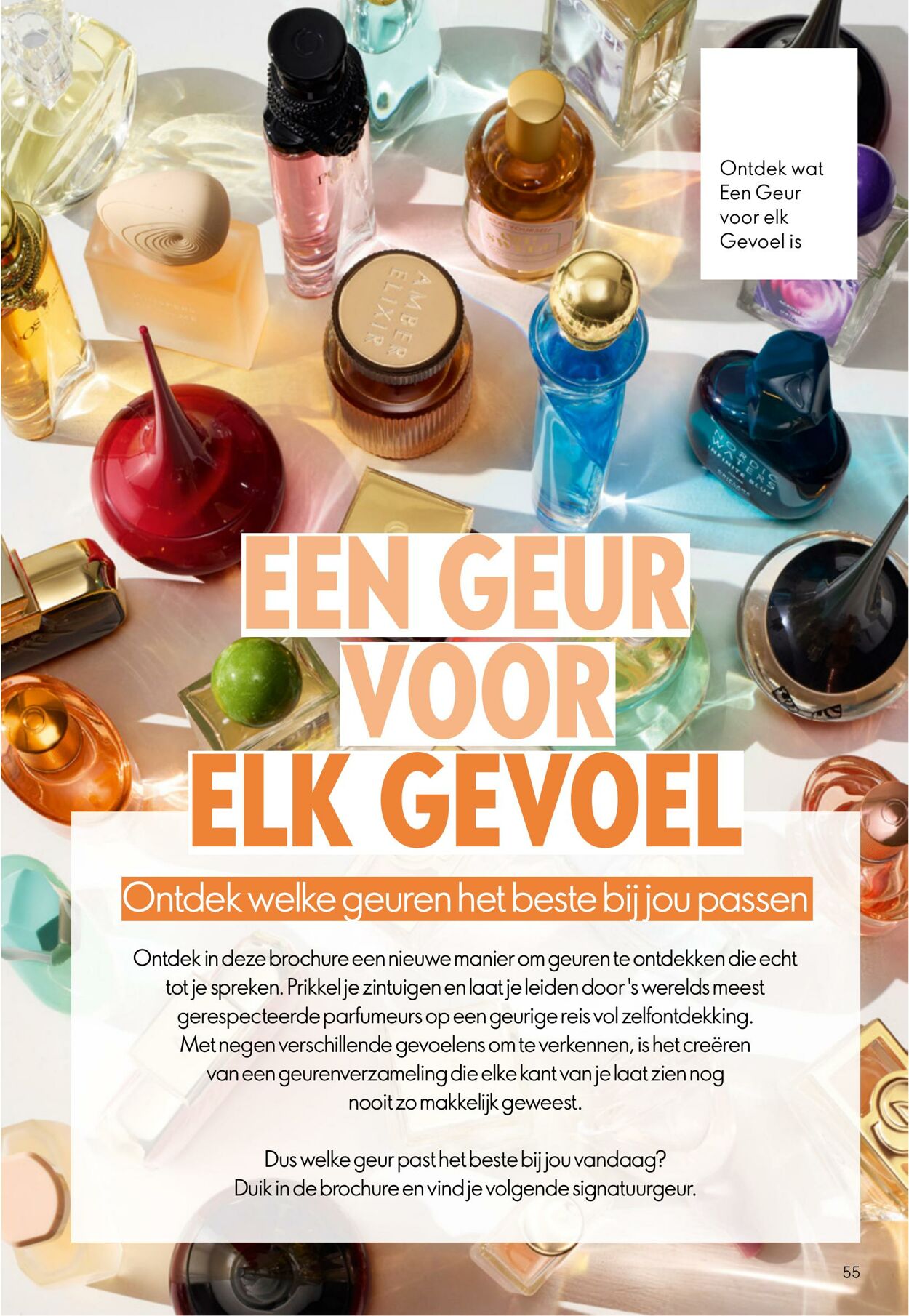 Folder Oriflame 08.10.2025 - 28.10.2025