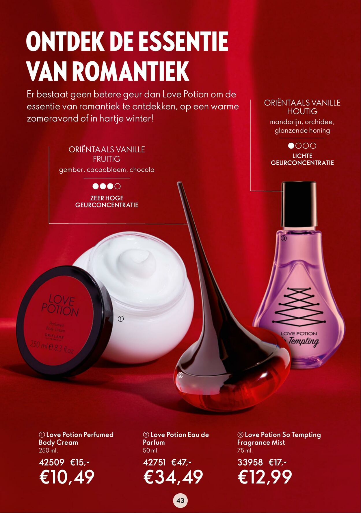 Folder Oriflame 11.01.2023 - 31.01.2023