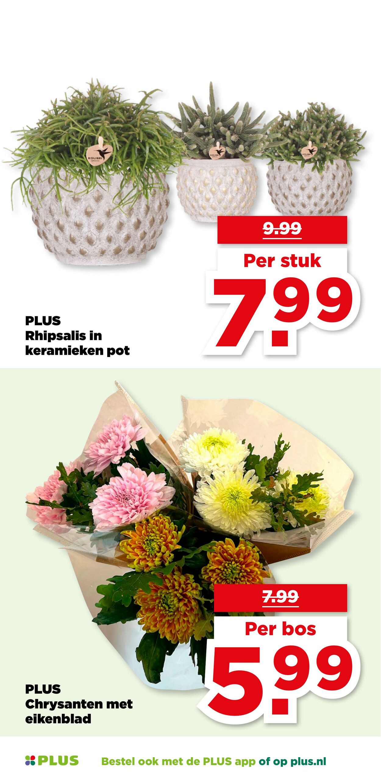 Folder Plus 05.11.2025 - 11.11.2025