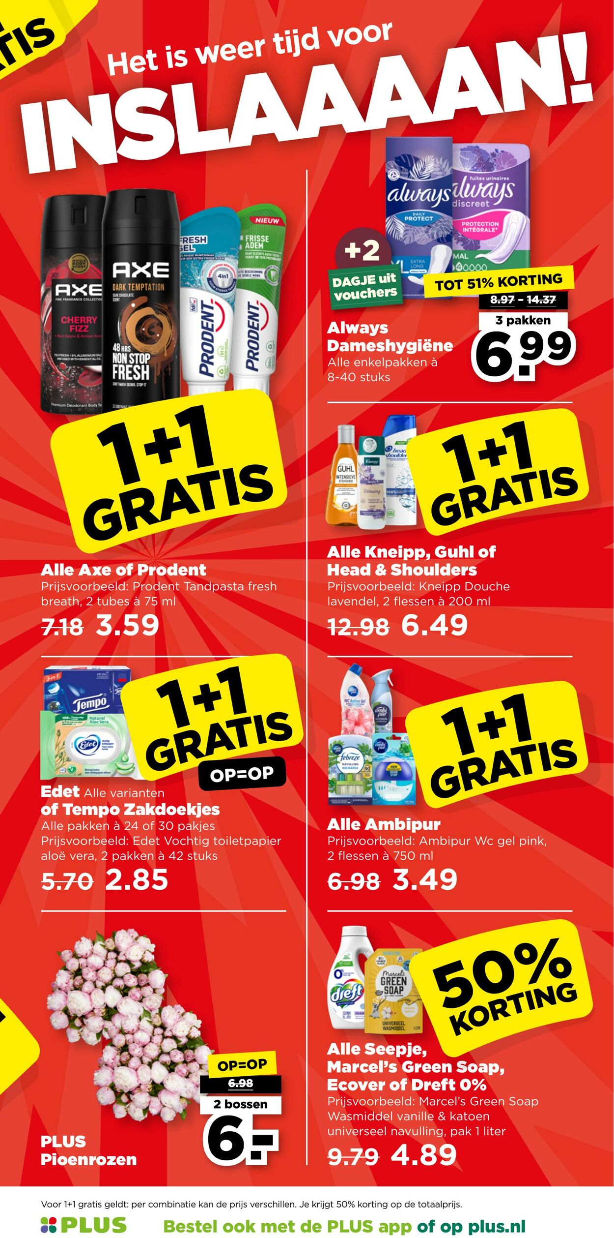 Folder Plus 04.06.2025 - 10.06.2025