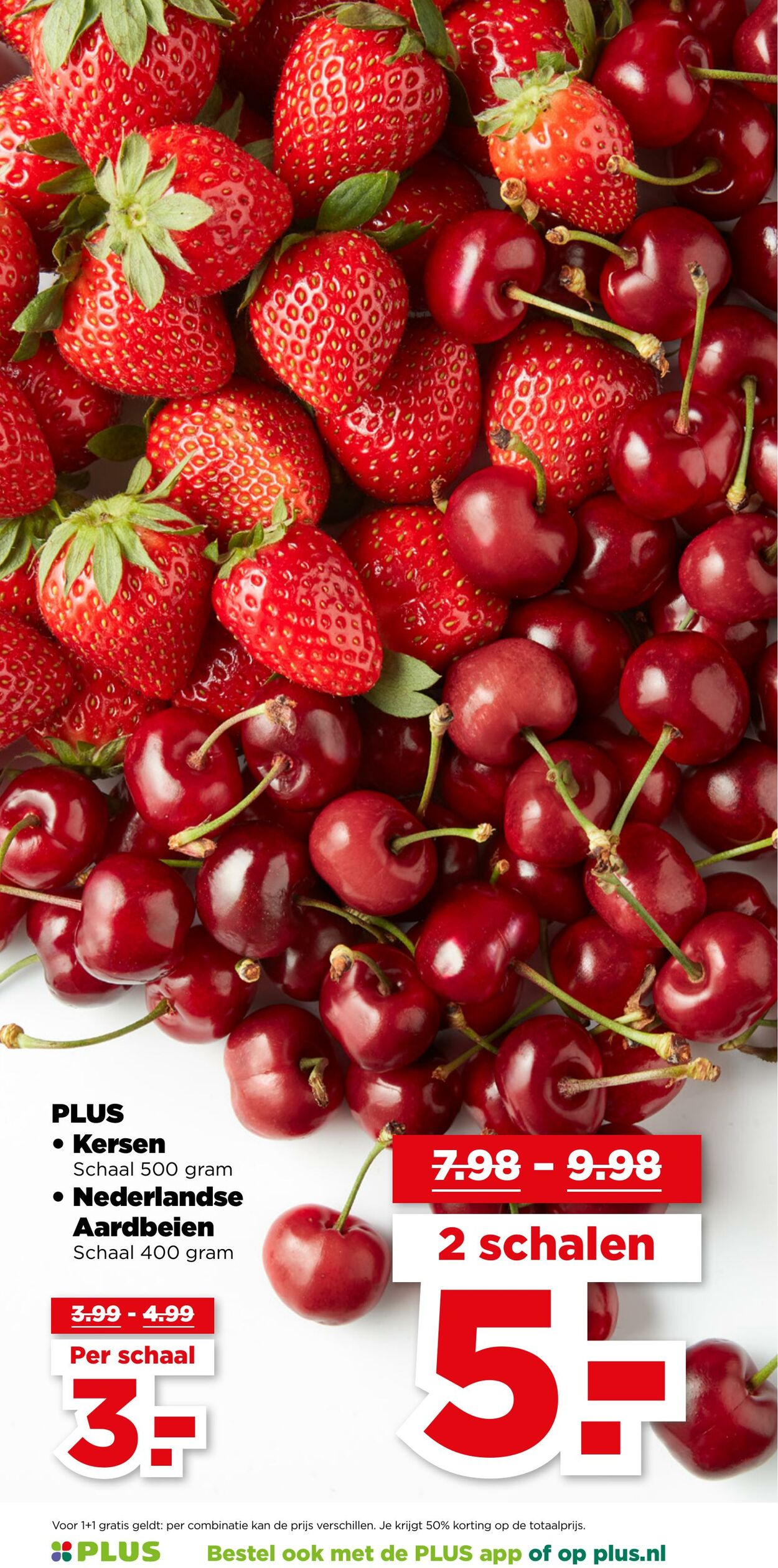 Folder Plus 18.06.2025 - 25.06.2025