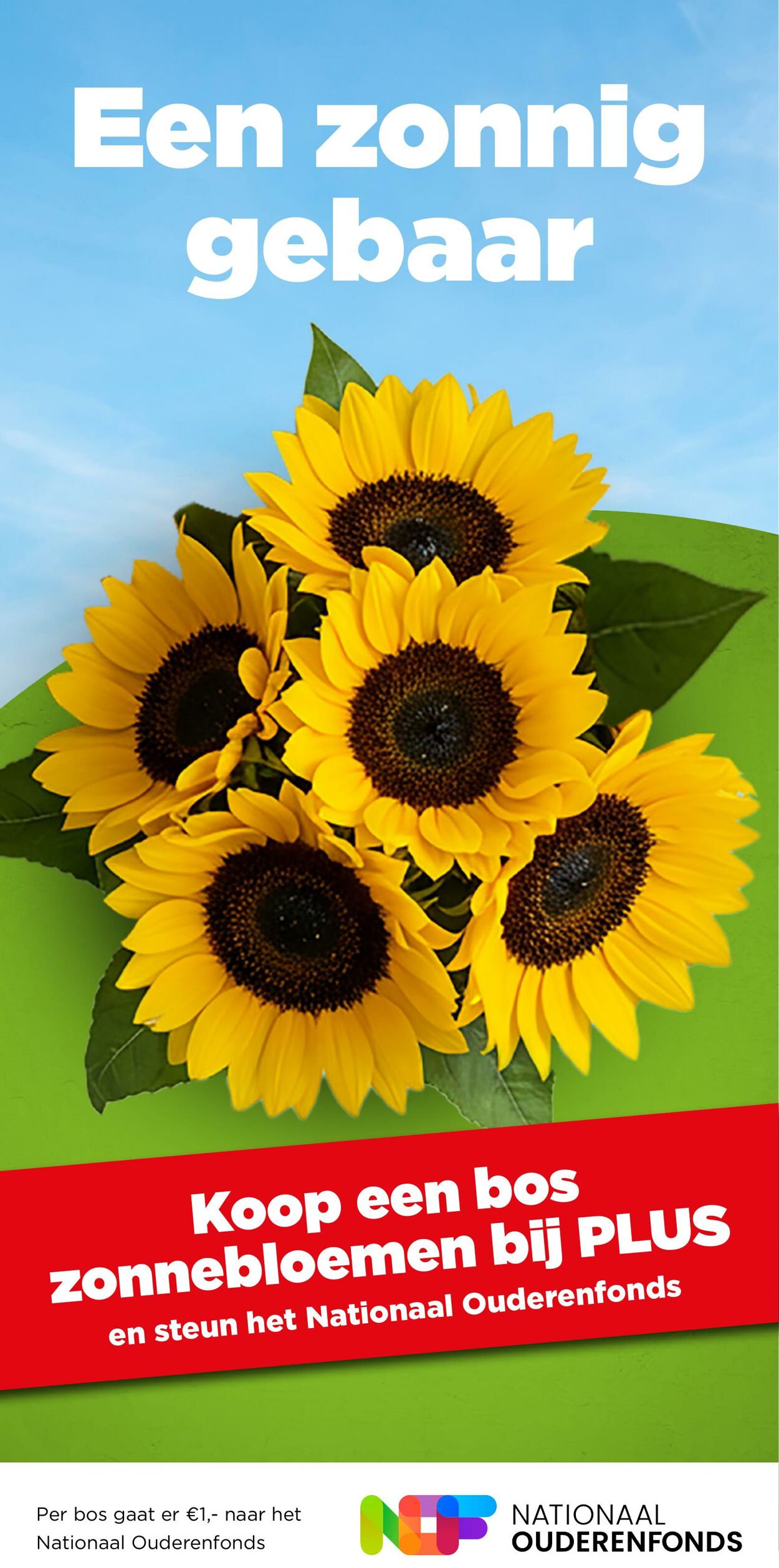 Folder Plus 02.07.2025 - 08.07.2025