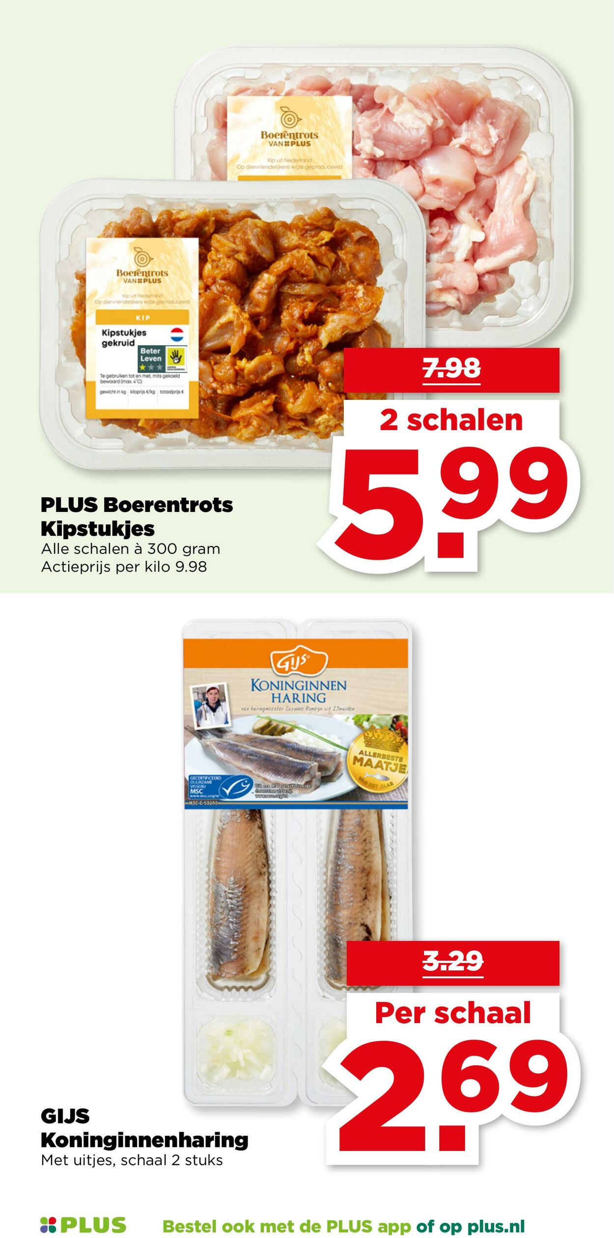 Folder Plus 23.07.2025 - 29.07.2025