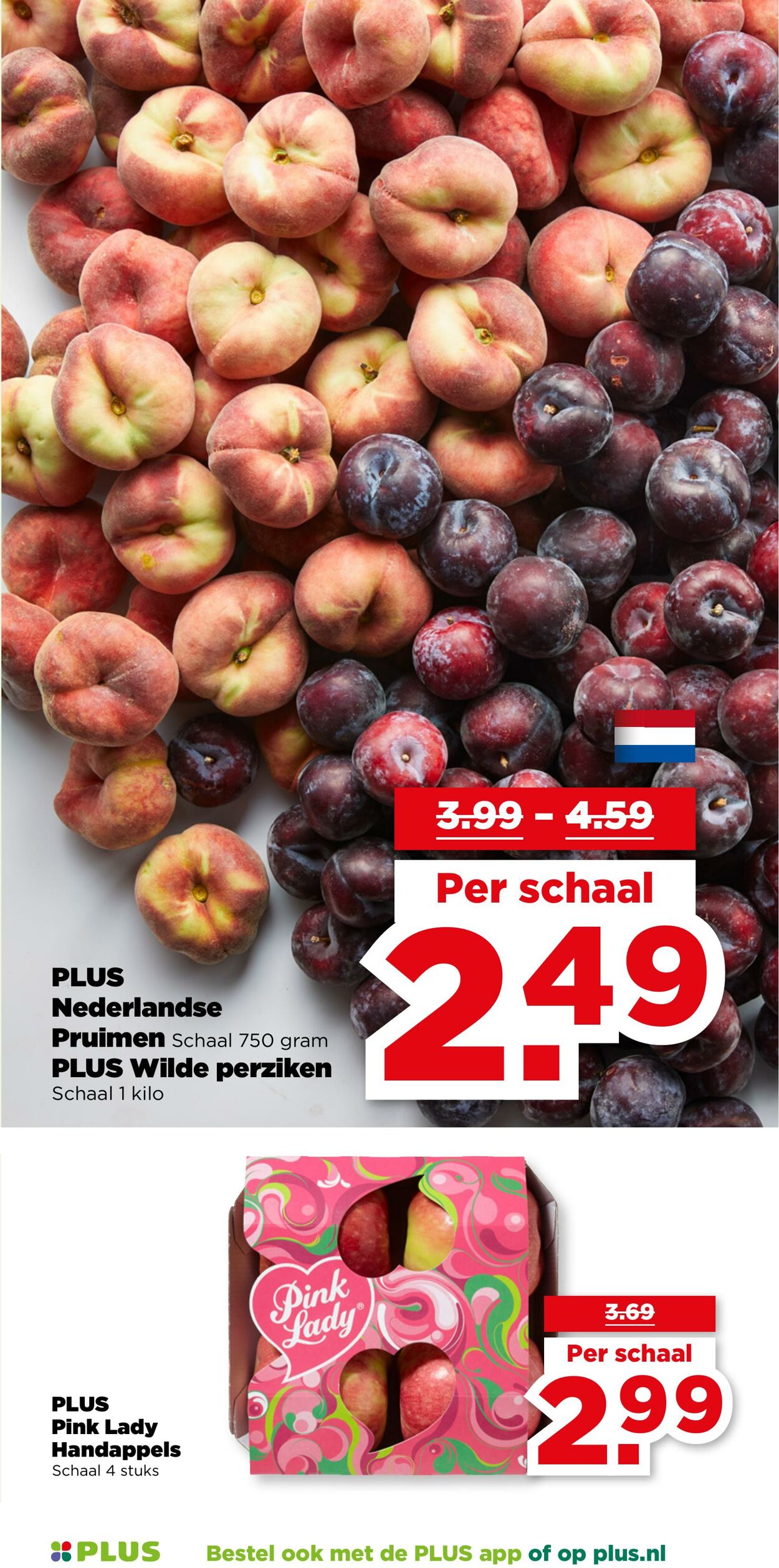Folder Plus 30.07.2025 - 05.08.2025