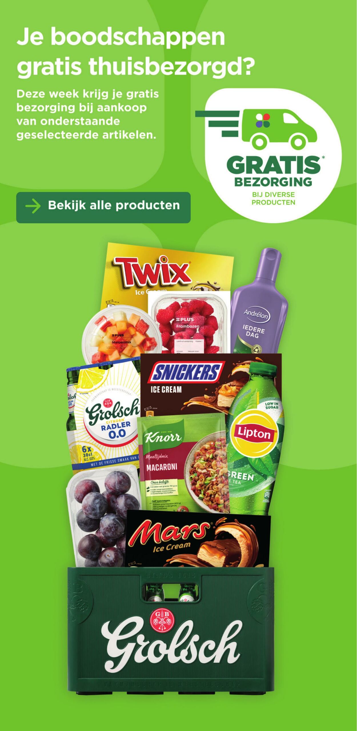 Folder Plus 06.08.2025 - 12.08.2025