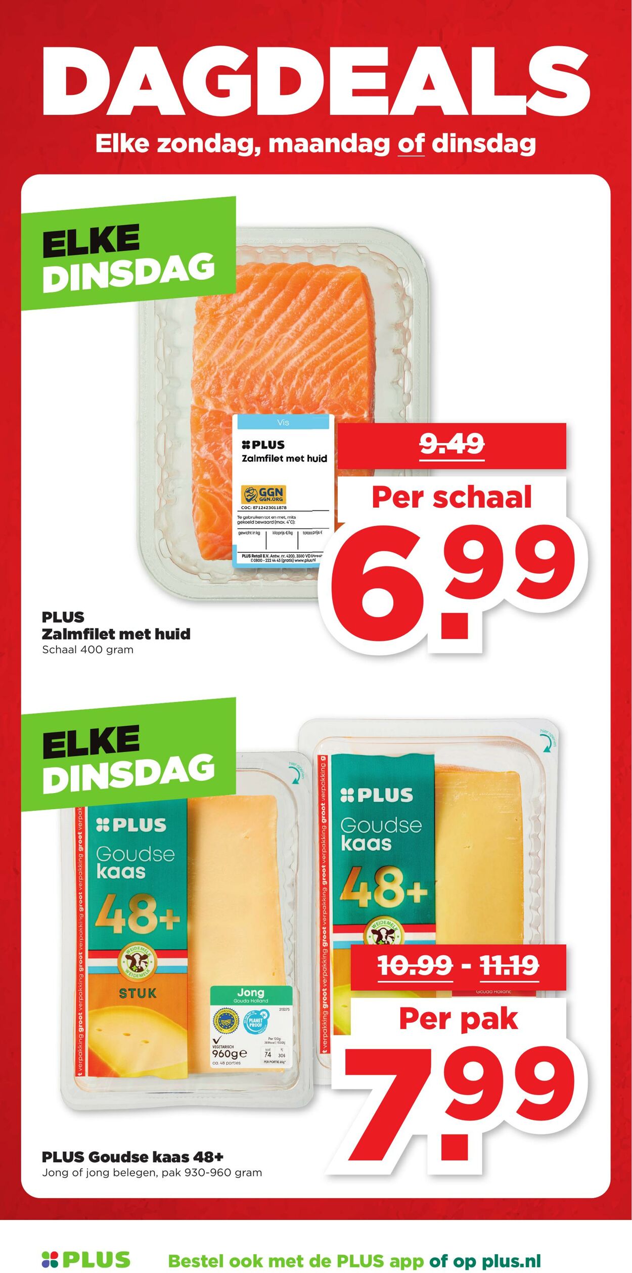 Folder Plus 06.08.2025 - 12.08.2025