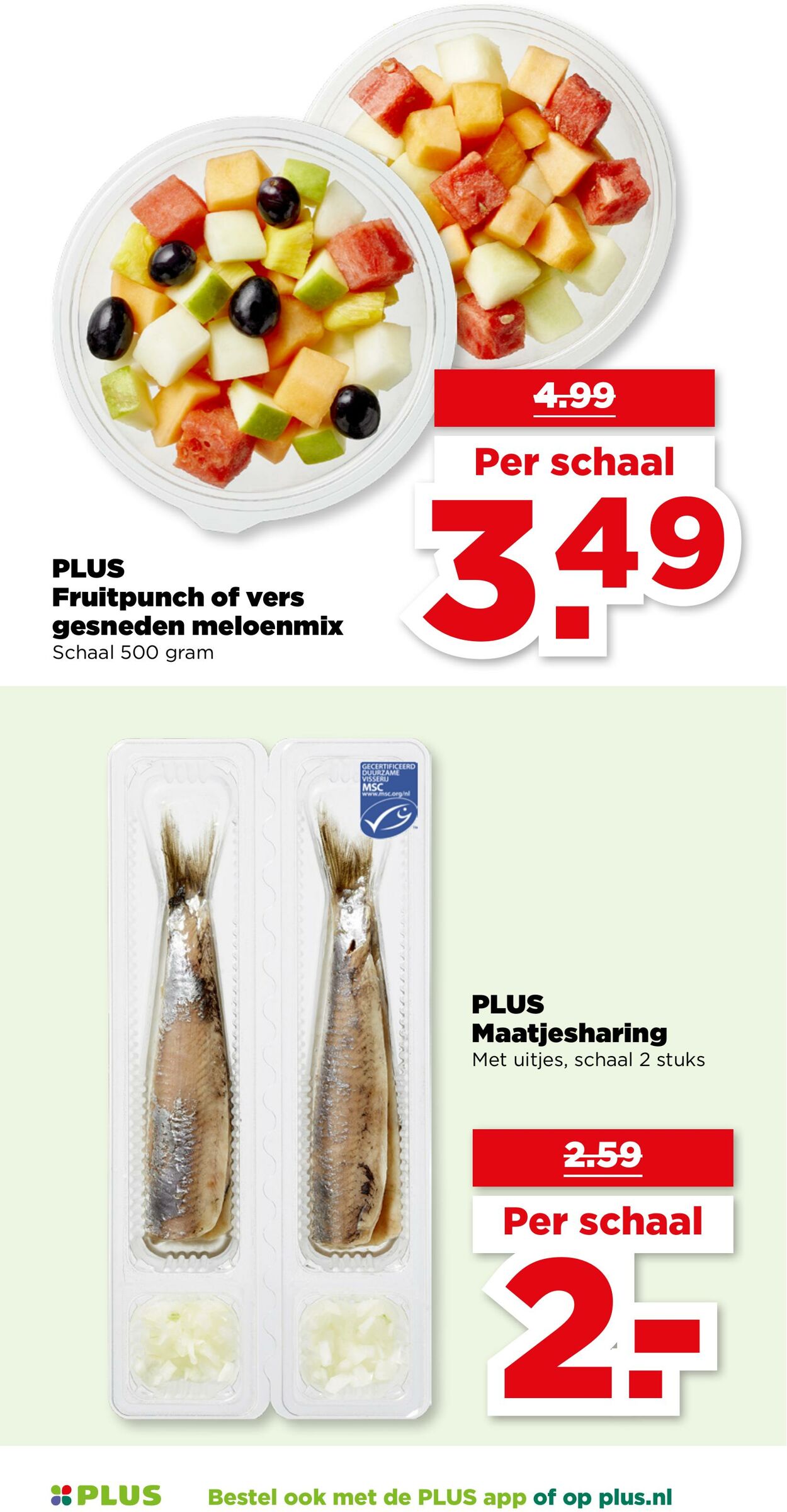 Folder Plus 27.08.2025 - 02.09.2025