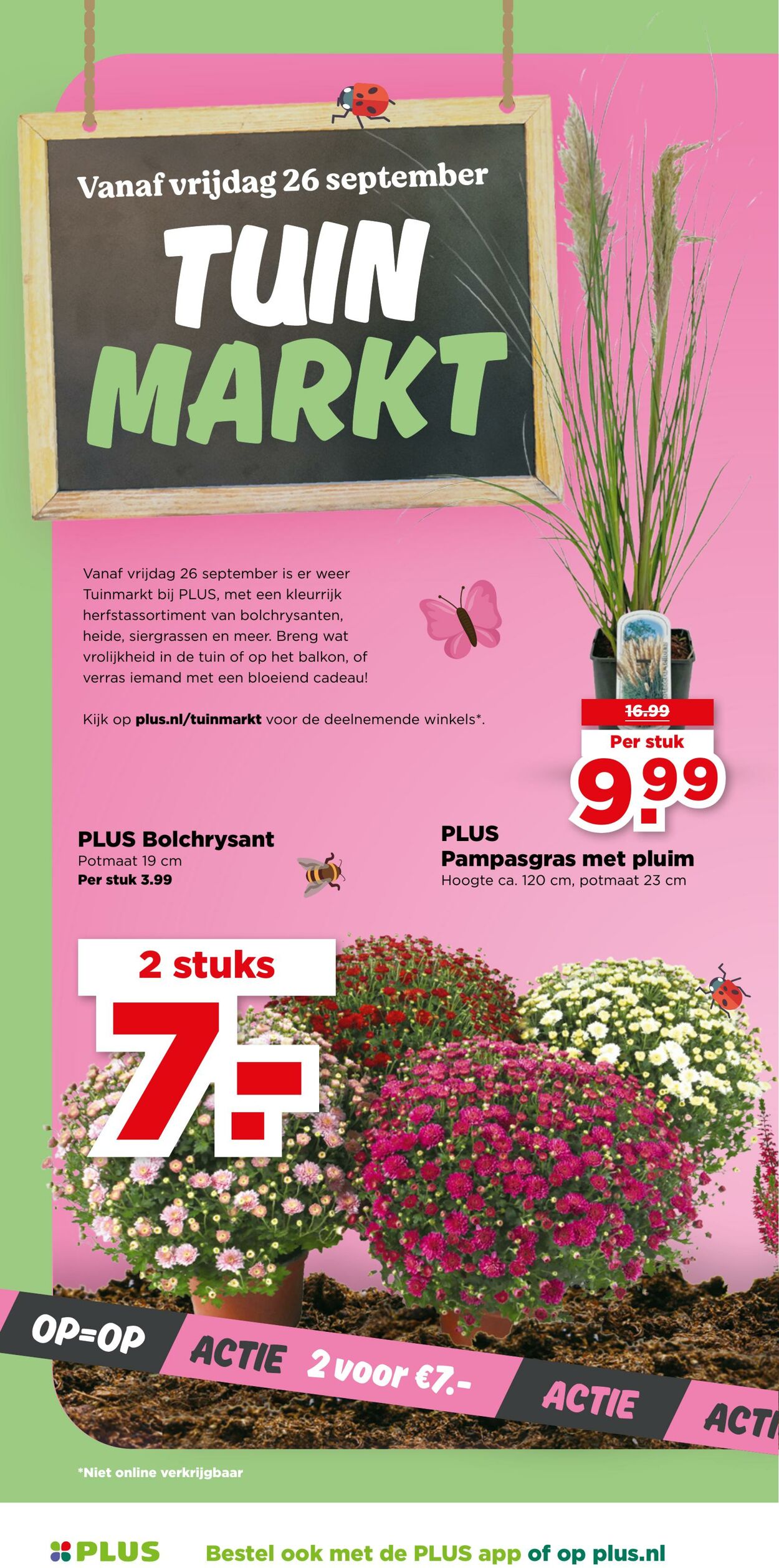 Folder Plus 24.09.2025 - 30.09.2025