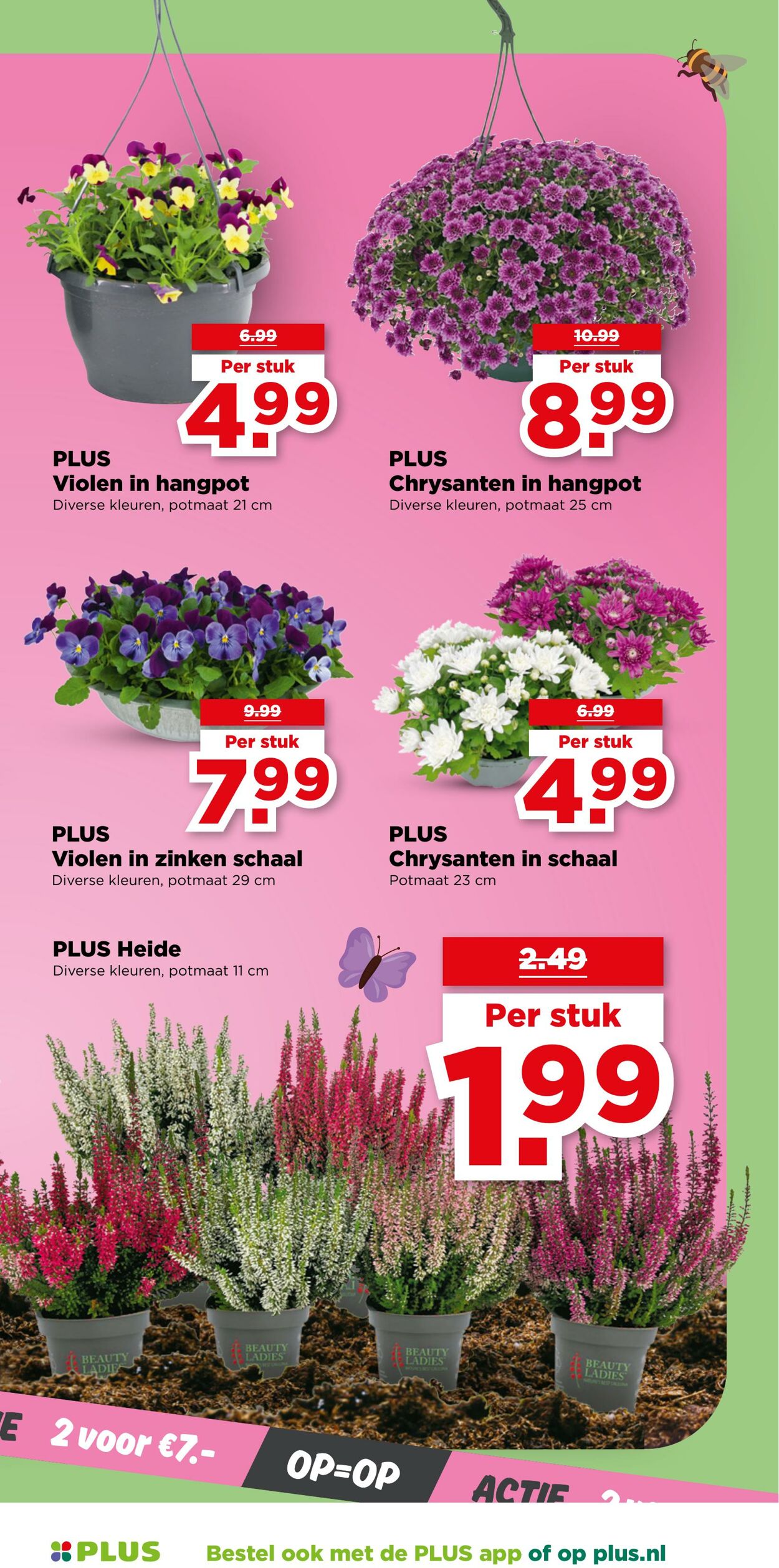 Folder Plus 24.09.2025 - 30.09.2025