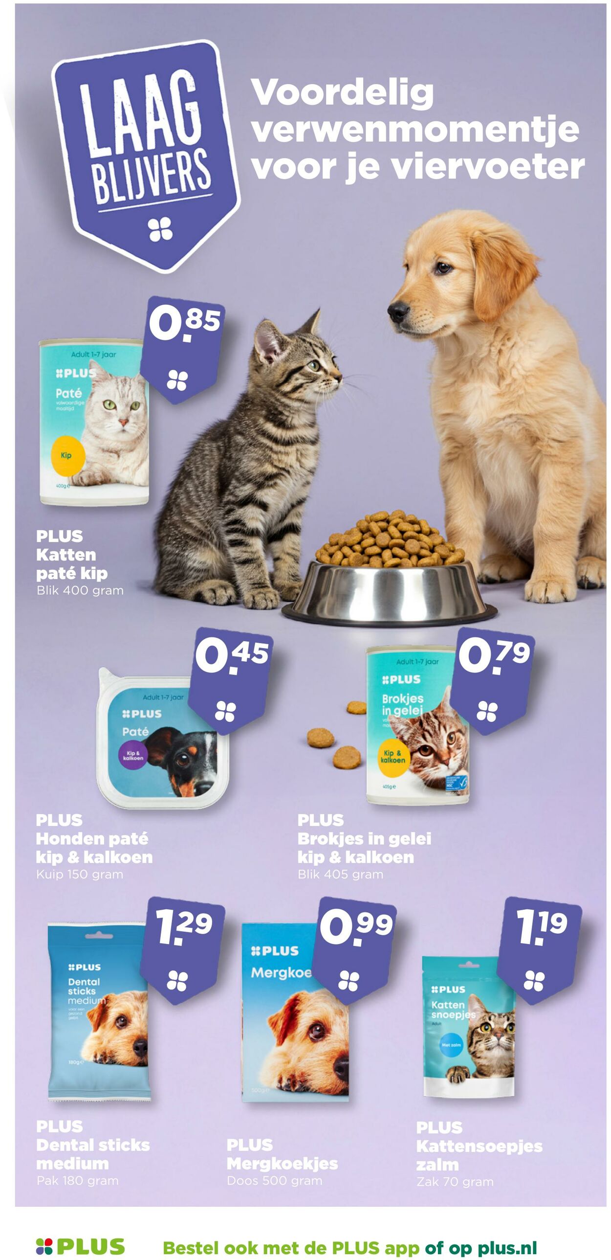 Folder Plus 01.10.2025 - 07.10.2025