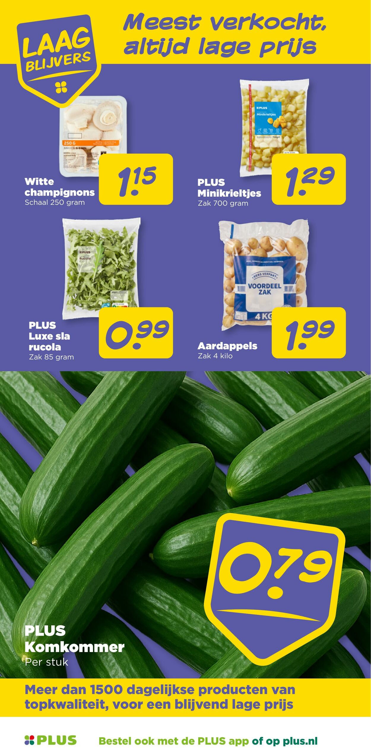 Folder Plus 29.10.2025 - 04.11.2025