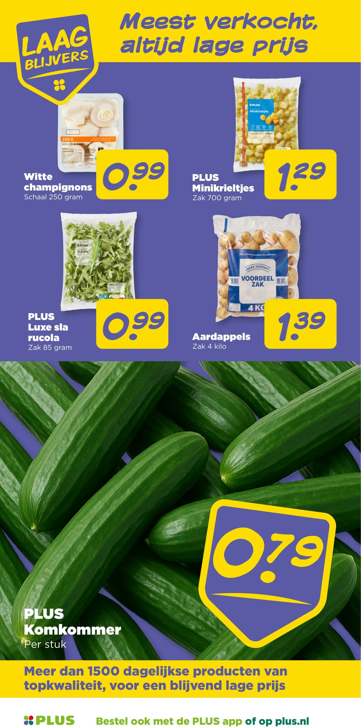 Folder Plus 03.12.2025 - 09.12.2025