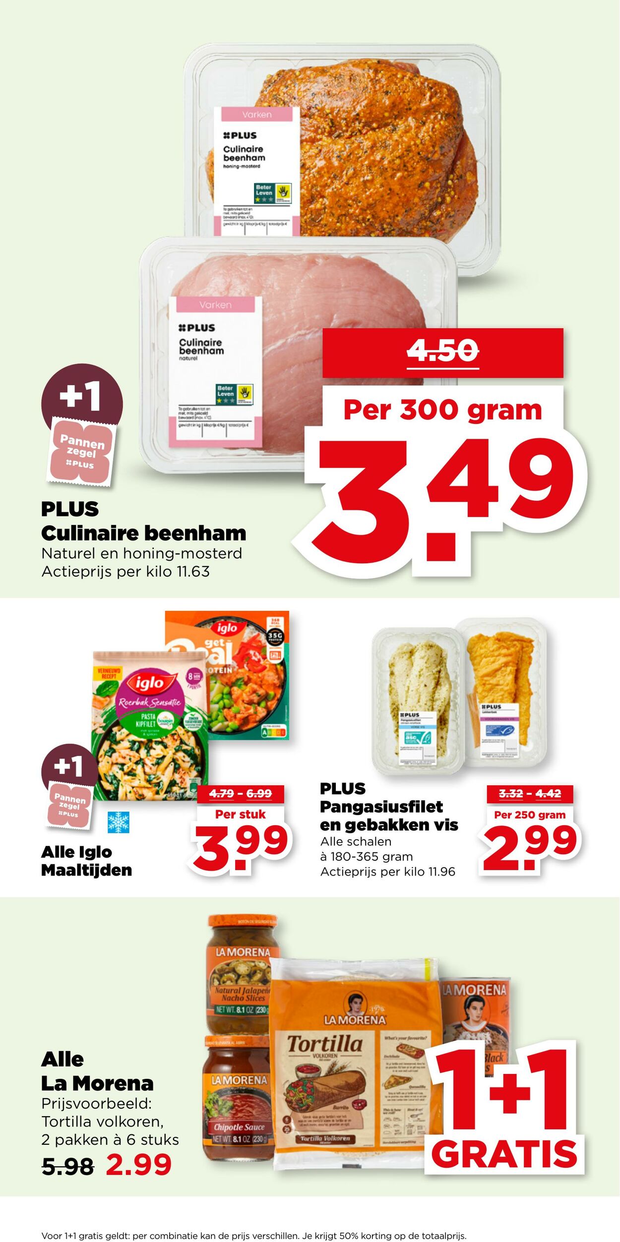 Folder Plus 10.12.2025 - 16.12.2025