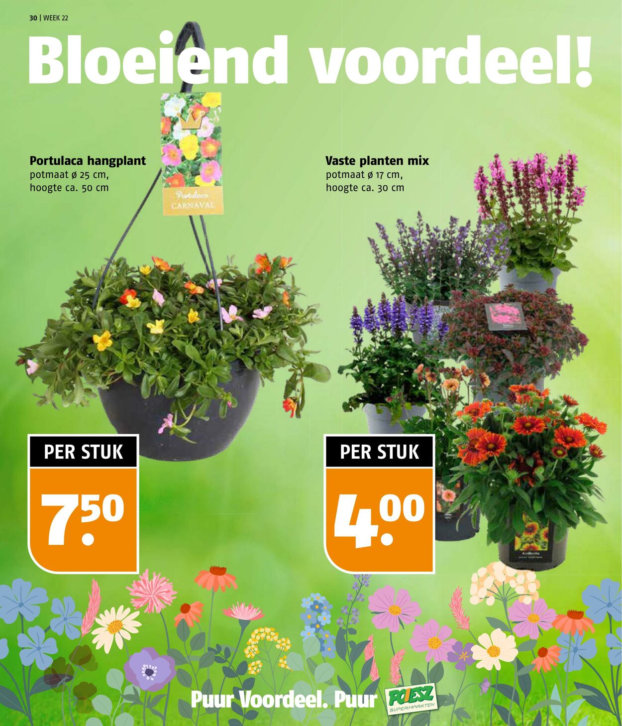 Folder Poiesz 26.05.2025 - 01.06.2025