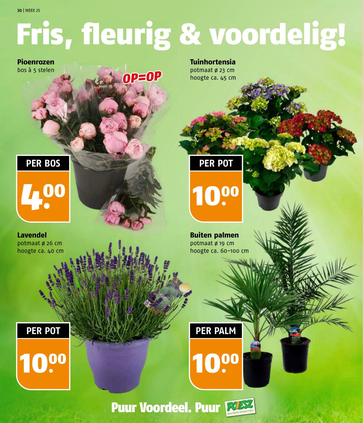 Folder Poiesz 16.06.2025 - 22.06.2025