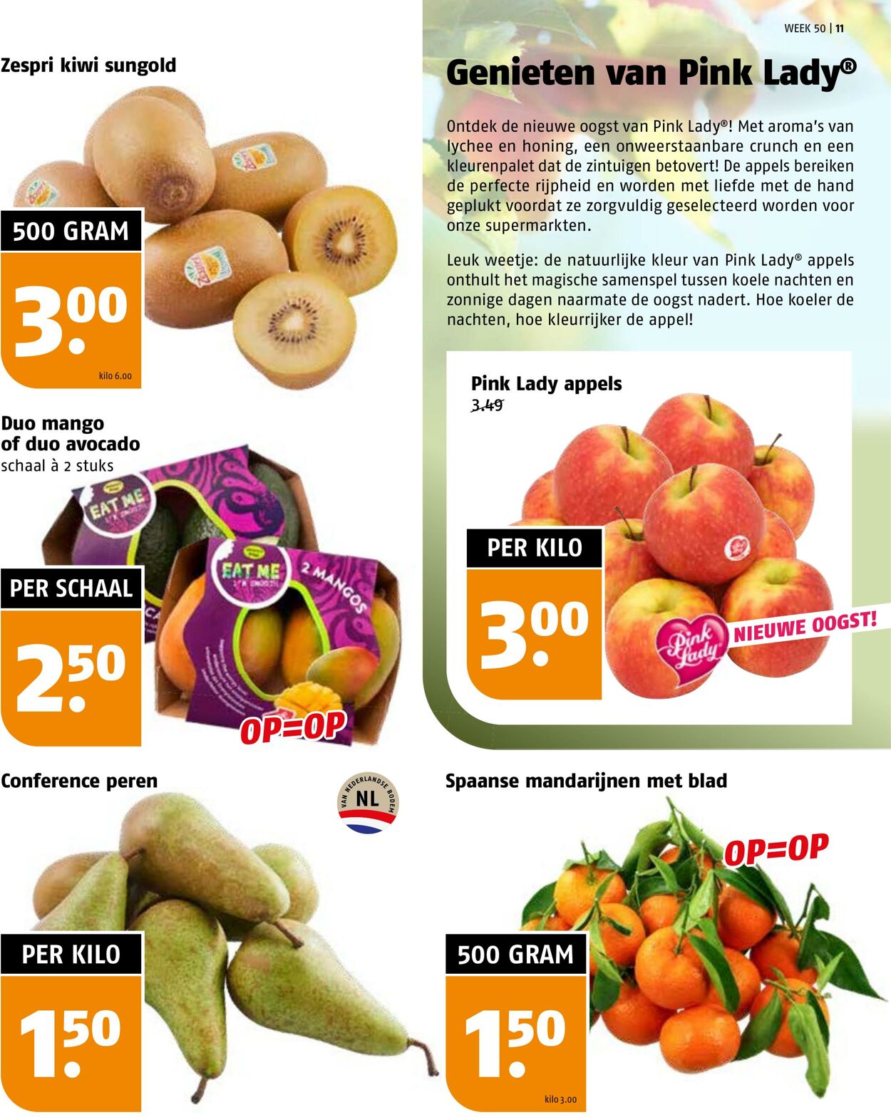 Folder Poiesz 08.12.2025 - 14.12.2025