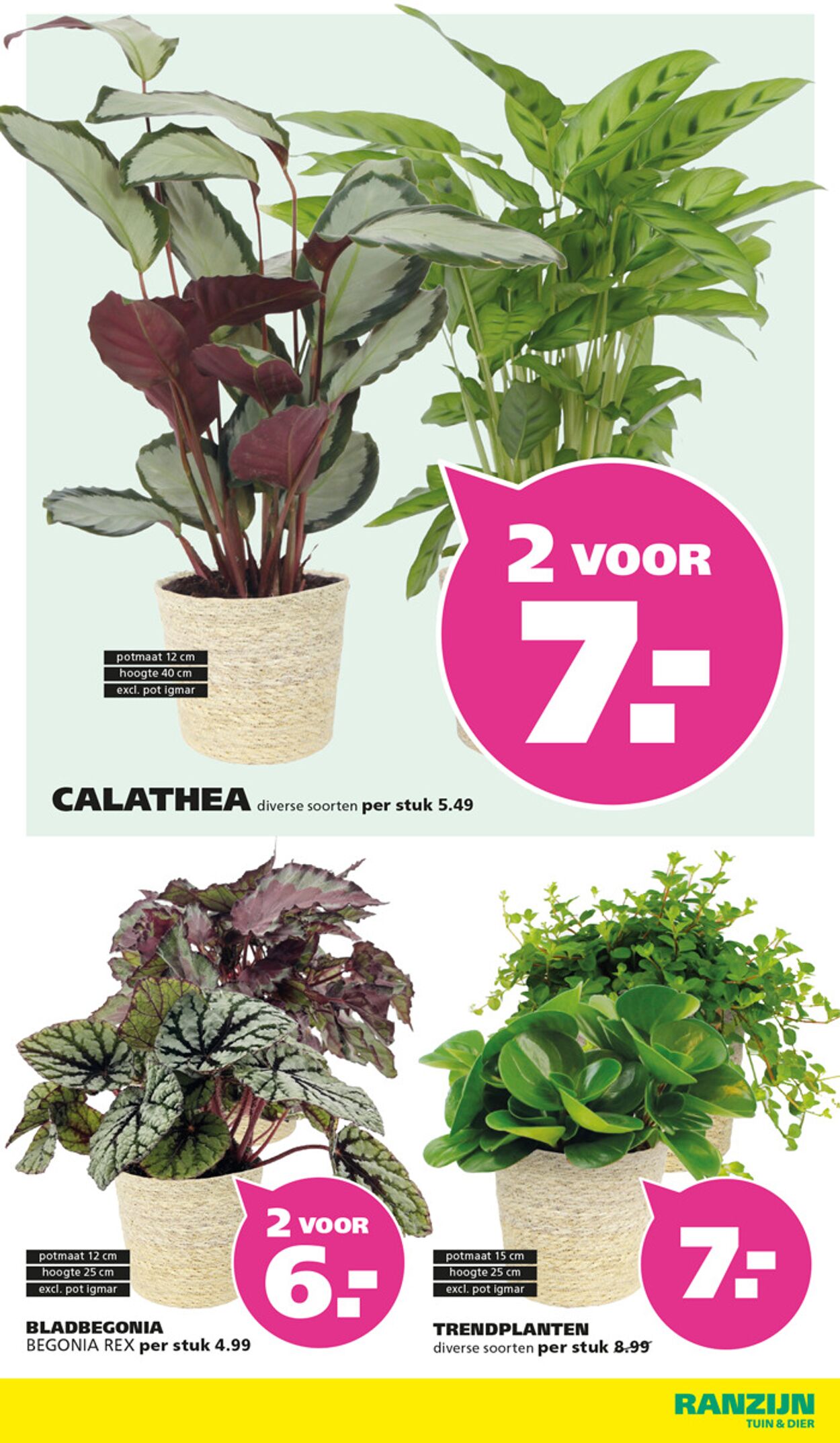 Folder Ranzijn 19.10.2025 - 01.11.2025