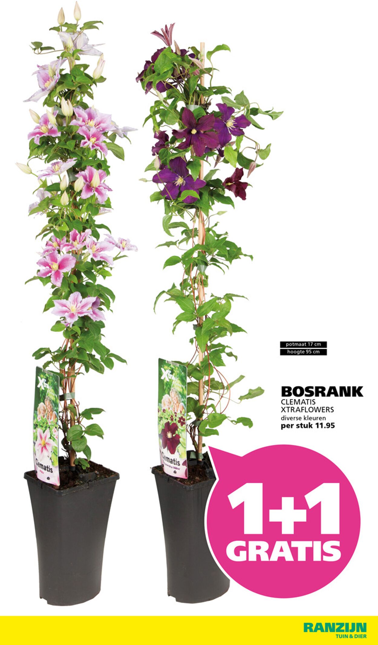 Folder Ranzijn 27.07.2025 - 09.08.2025