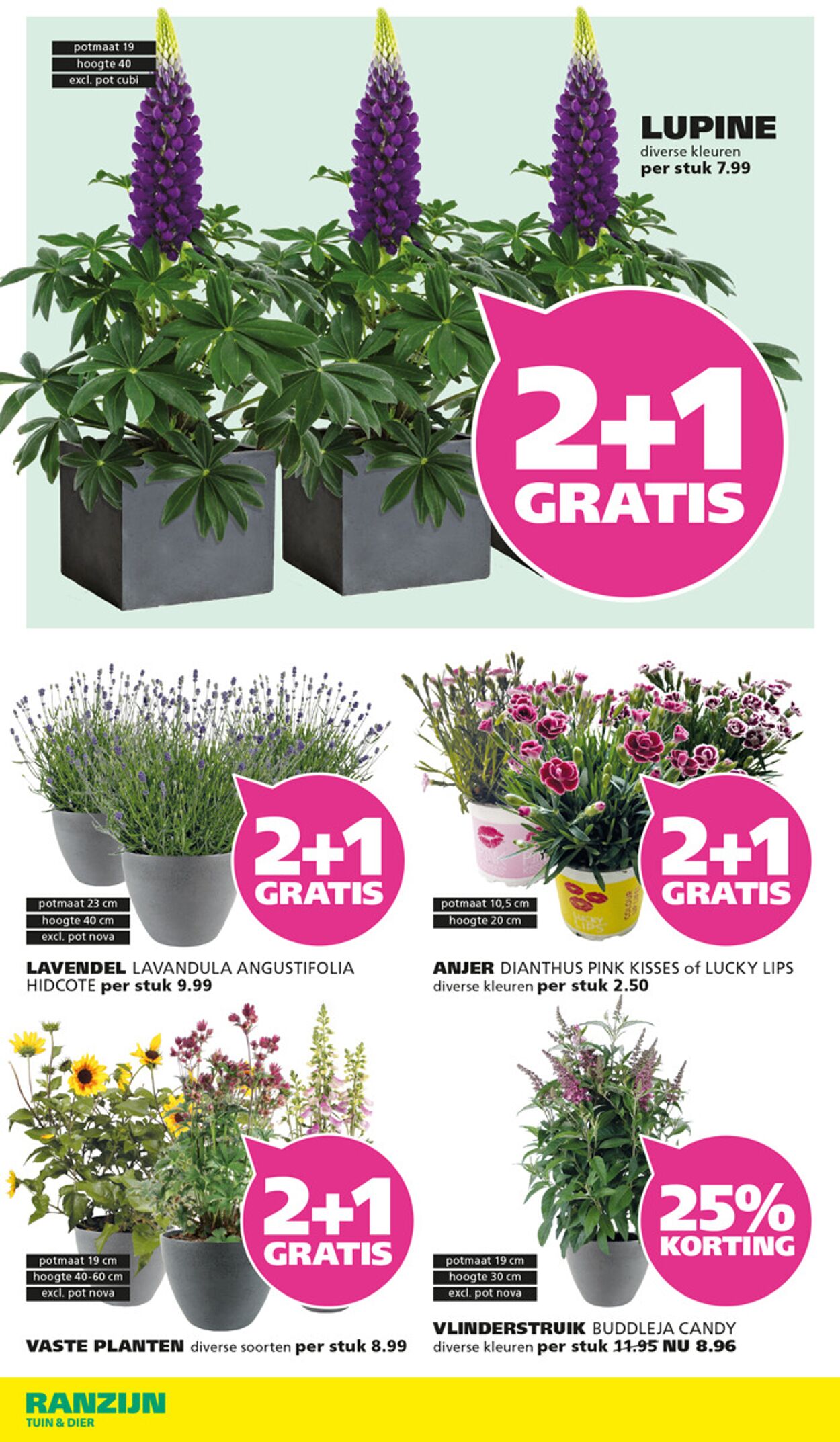 Folder Ranzijn 25.05.2025 - 07.06.2025