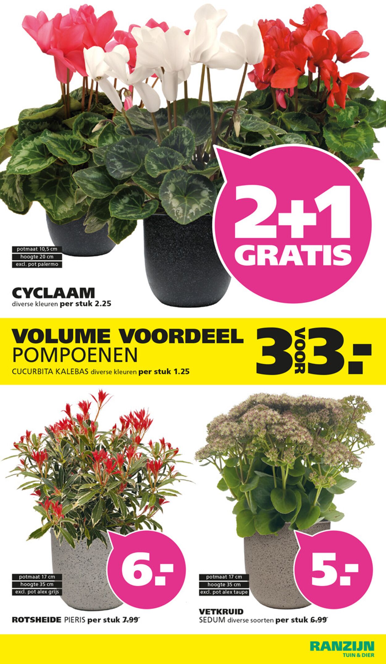Folder Ranzijn 07.09.2025 - 20.09.2025