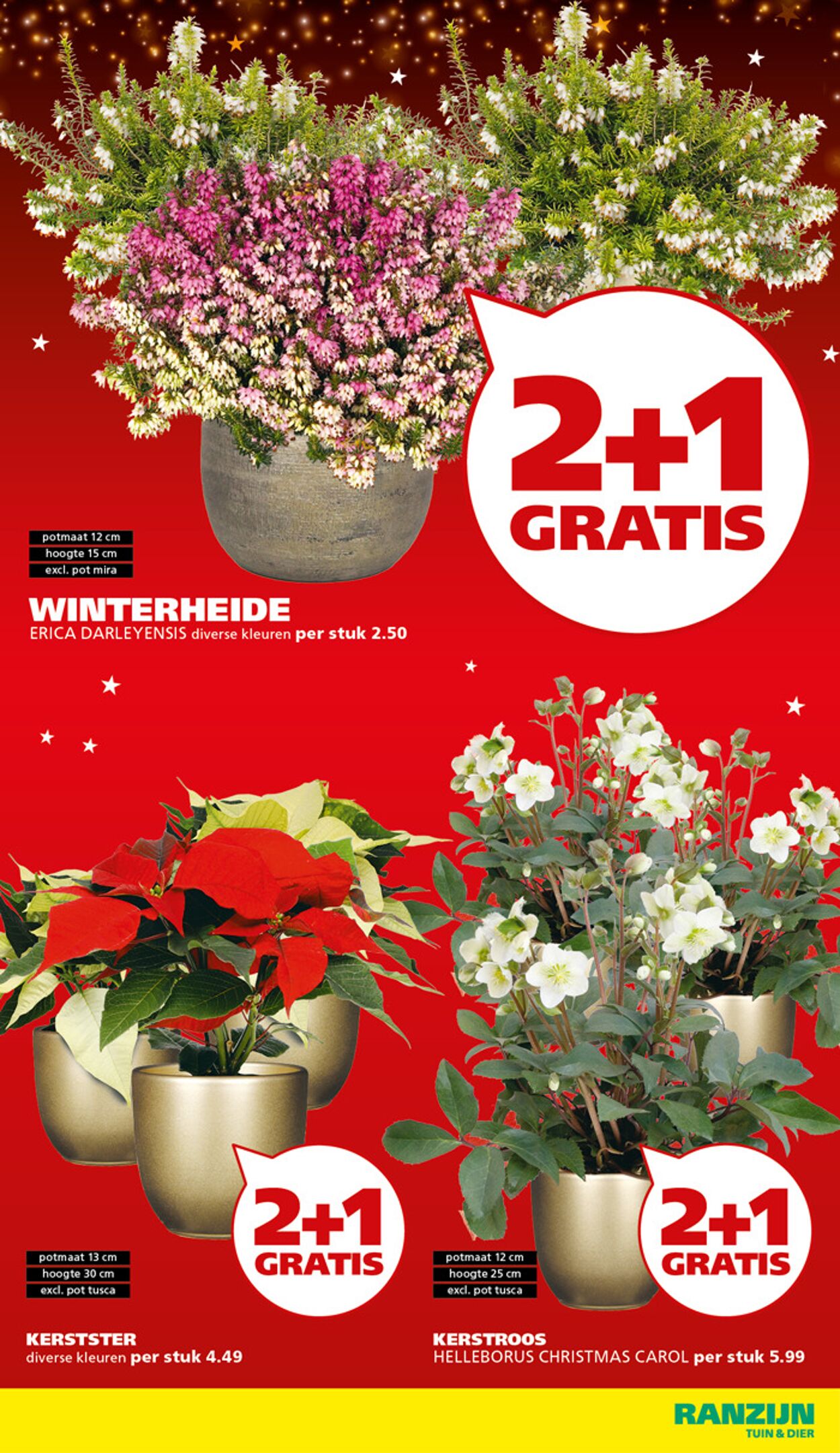 Folder Ranzijn 16.11.2025 - 29.11.2025