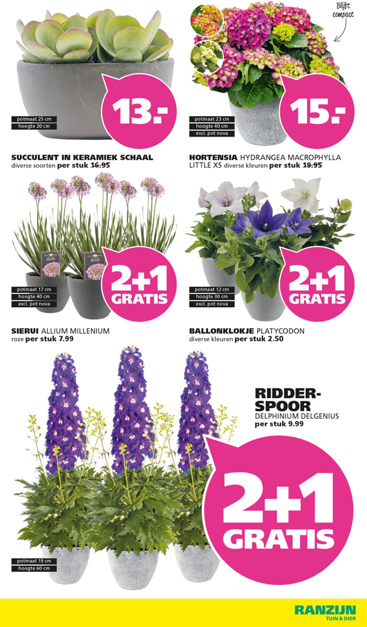 Folder Ranzijn 15.06.2025 - 28.06.2025