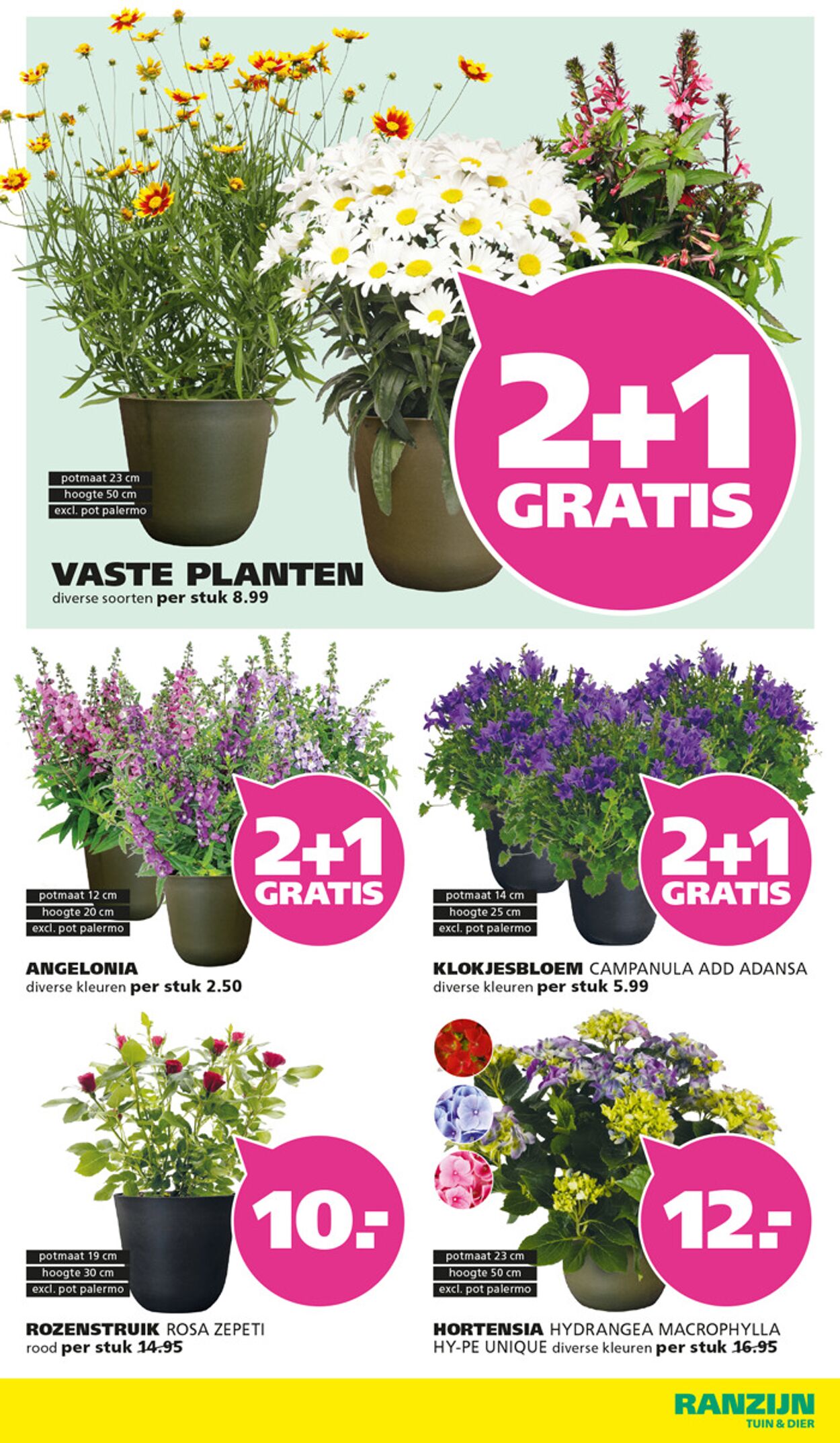 Folder Ranzijn 08.06.2025 - 14.06.2025