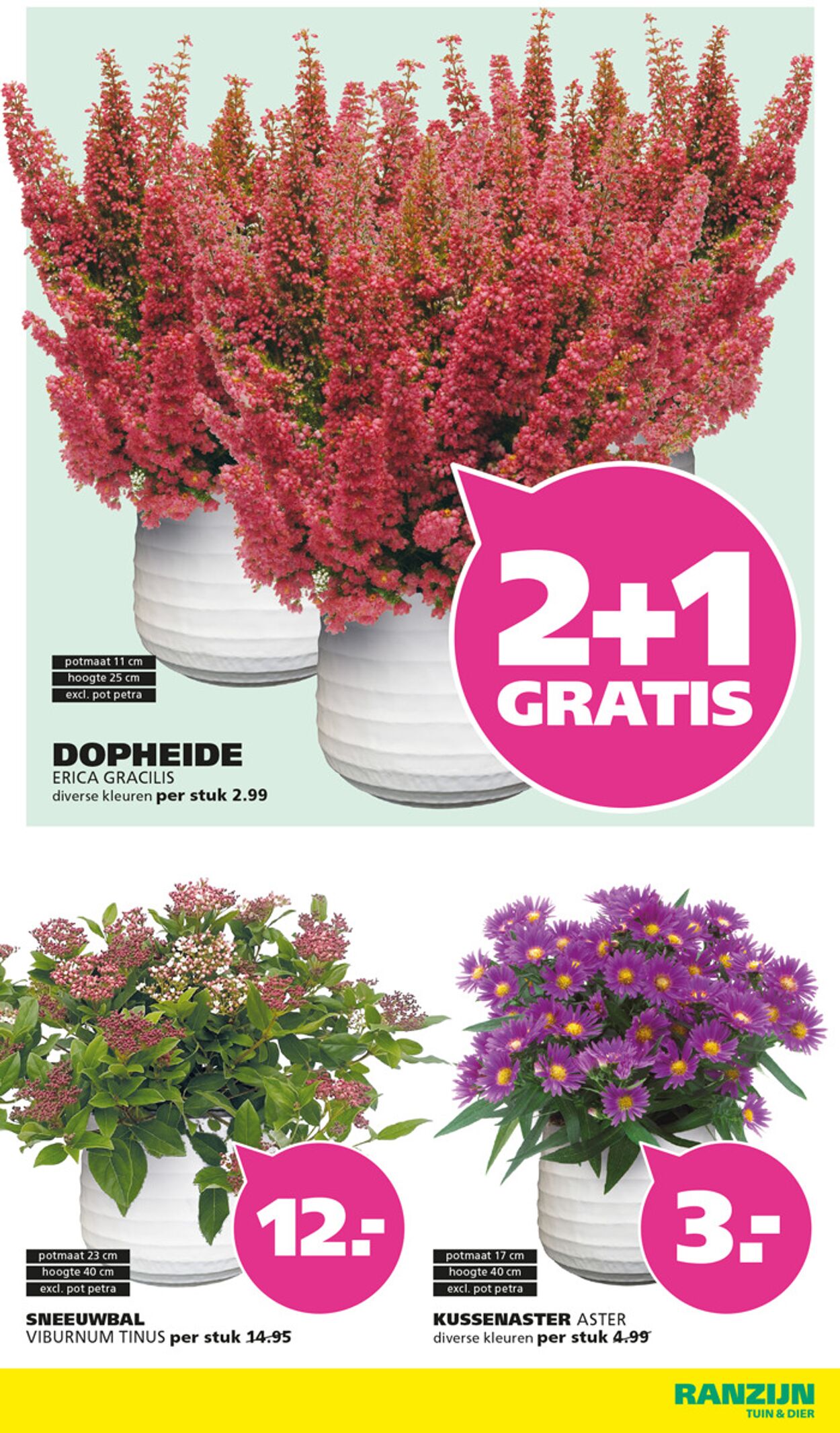 Folder Ranzijn 24.08.2025 - 06.09.2025
