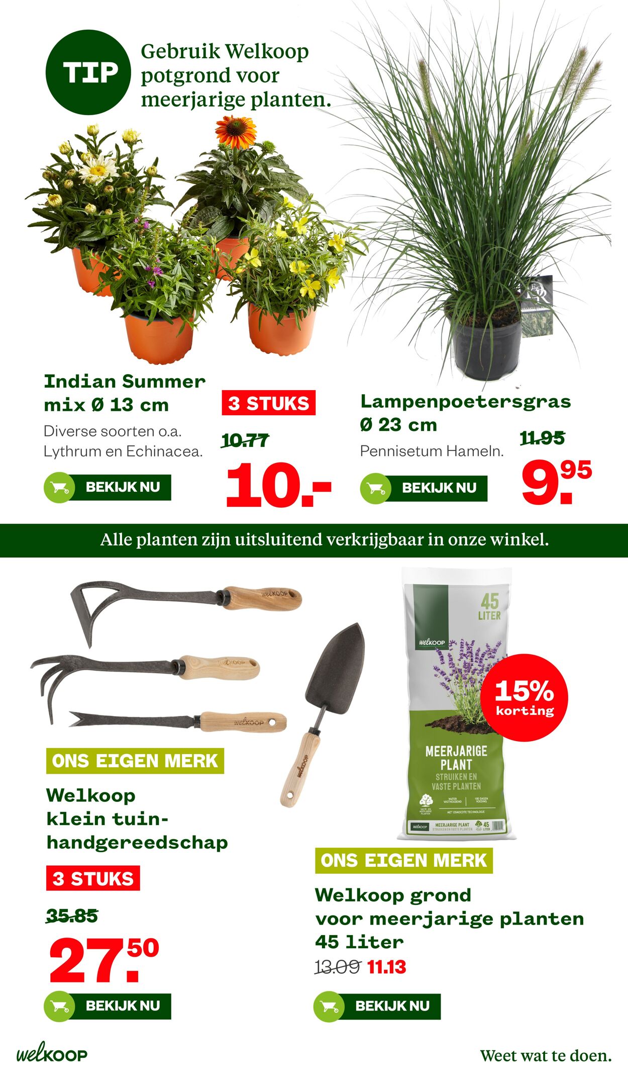 Folder Welkoop 04.08.2025 - 24.08.2025