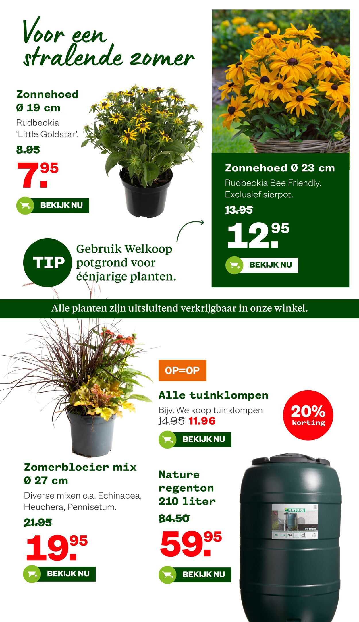 Folder Welkoop 04.08.2025 - 24.08.2025
