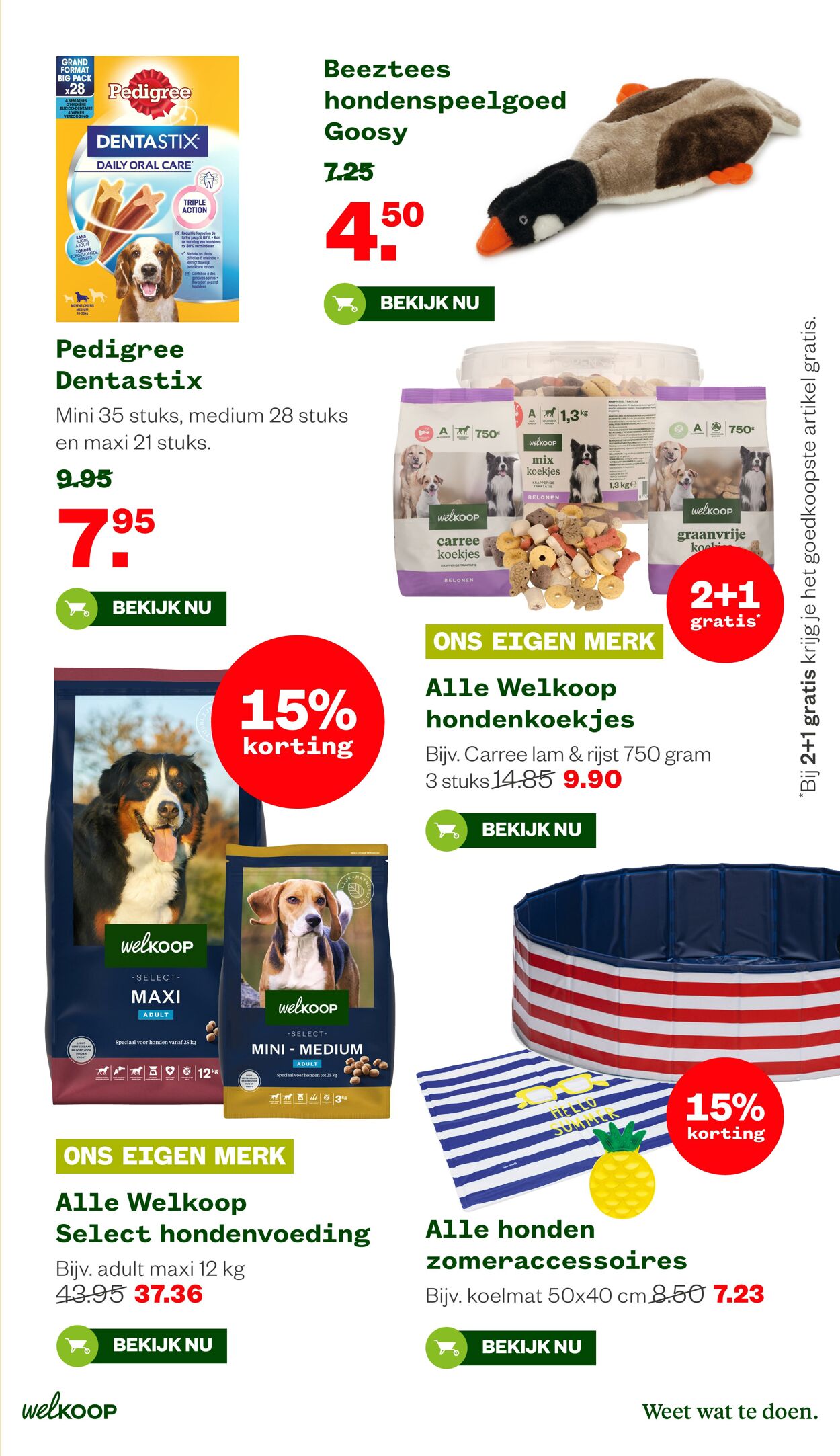 Folder Welkoop 04.08.2025 - 24.08.2025