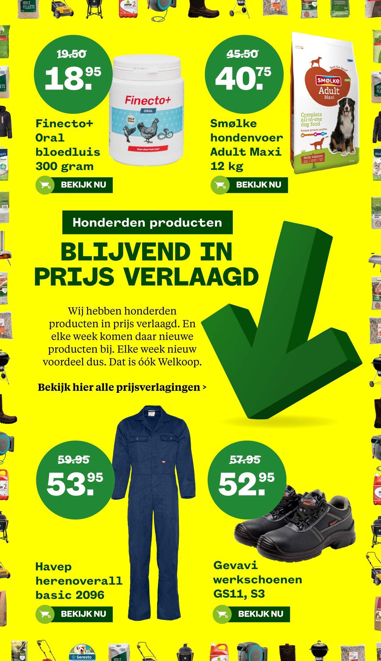 Folder Welkoop 29.07.2024 - 18.08.2024