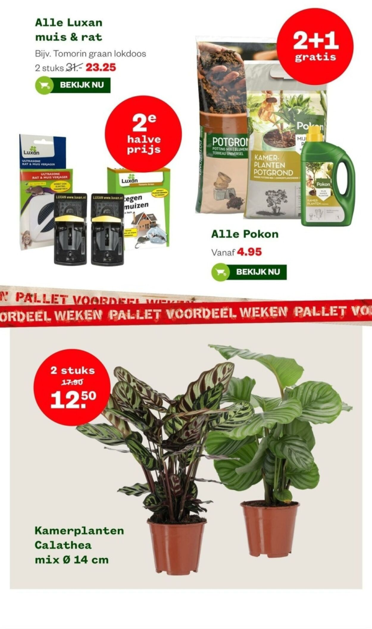 Folder Welkoop 01.01.2024 - 19.05.2024