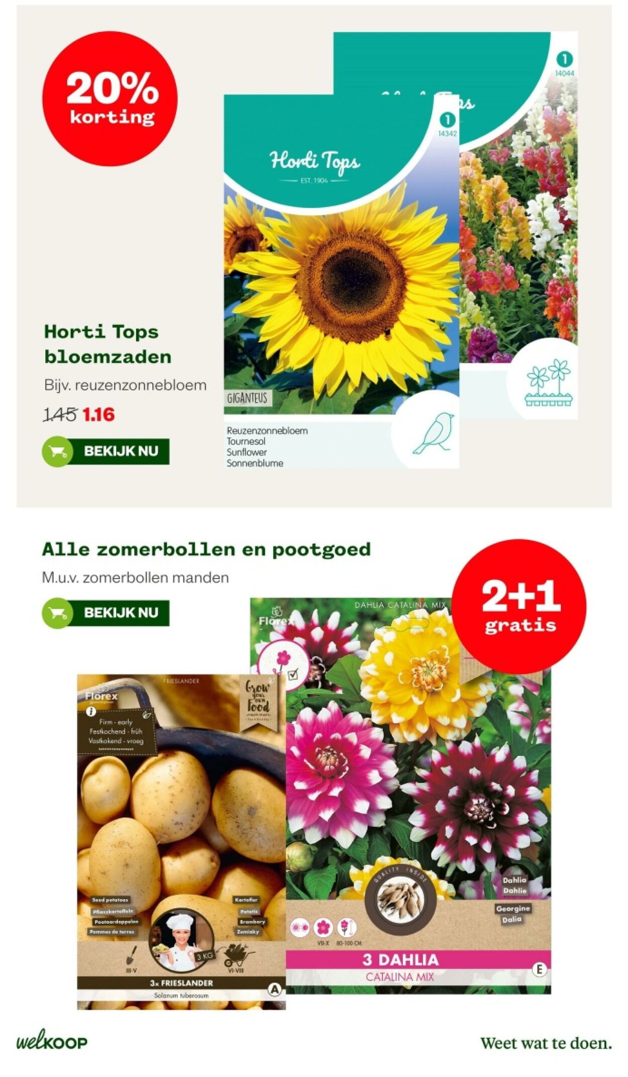 Folder Welkoop 25.03.2024 - 07.04.2024