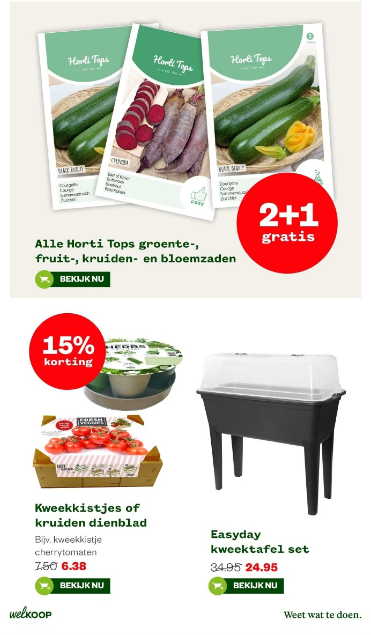 Folder Welkoop 12.02.2024 - 25.02.2024