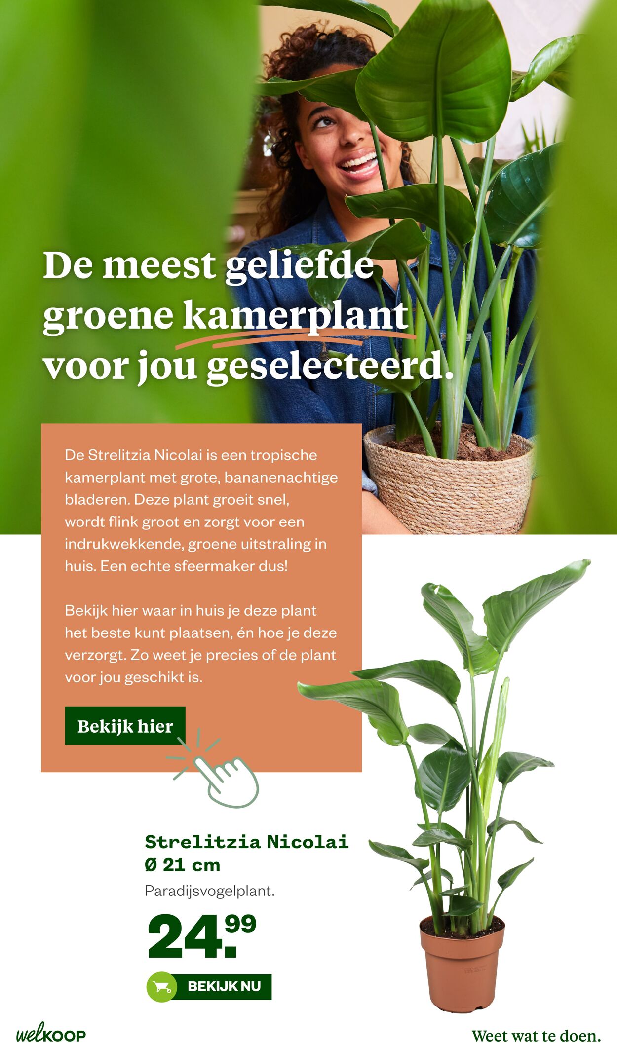 Folder Welkoop 02.03.2026 - 10.03.2026