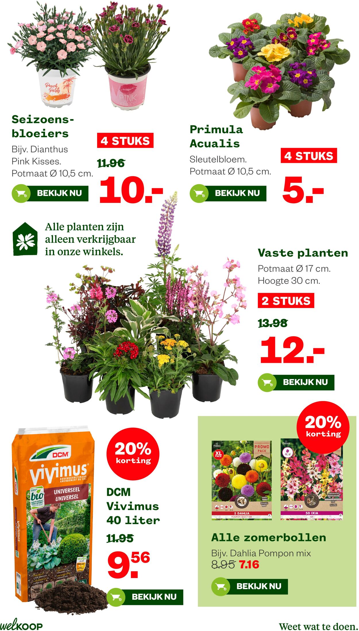 Folder Welkoop 02.03.2026 - 10.03.2026