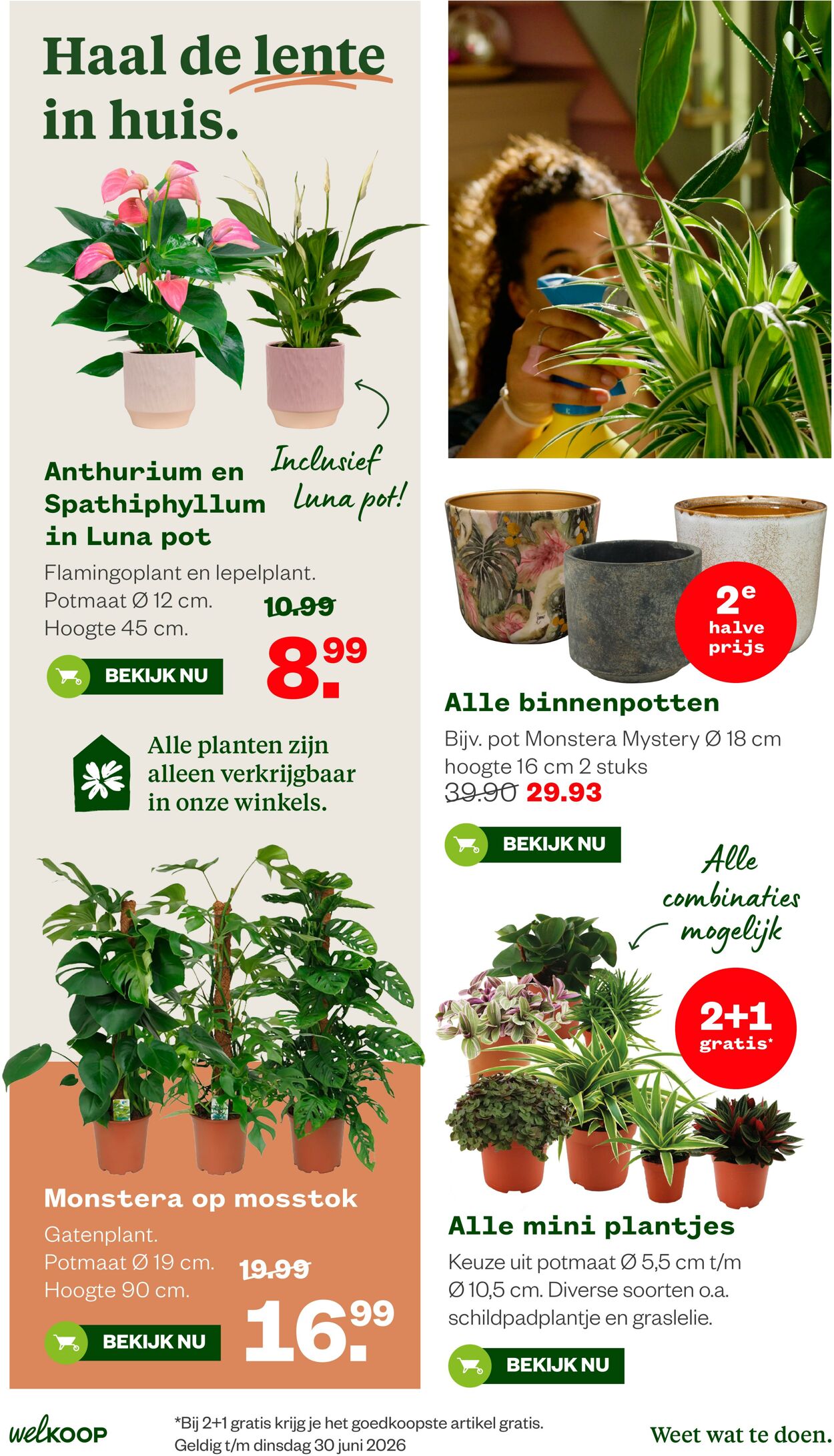 Folder Welkoop 09.03.2026 - 17.03.2026