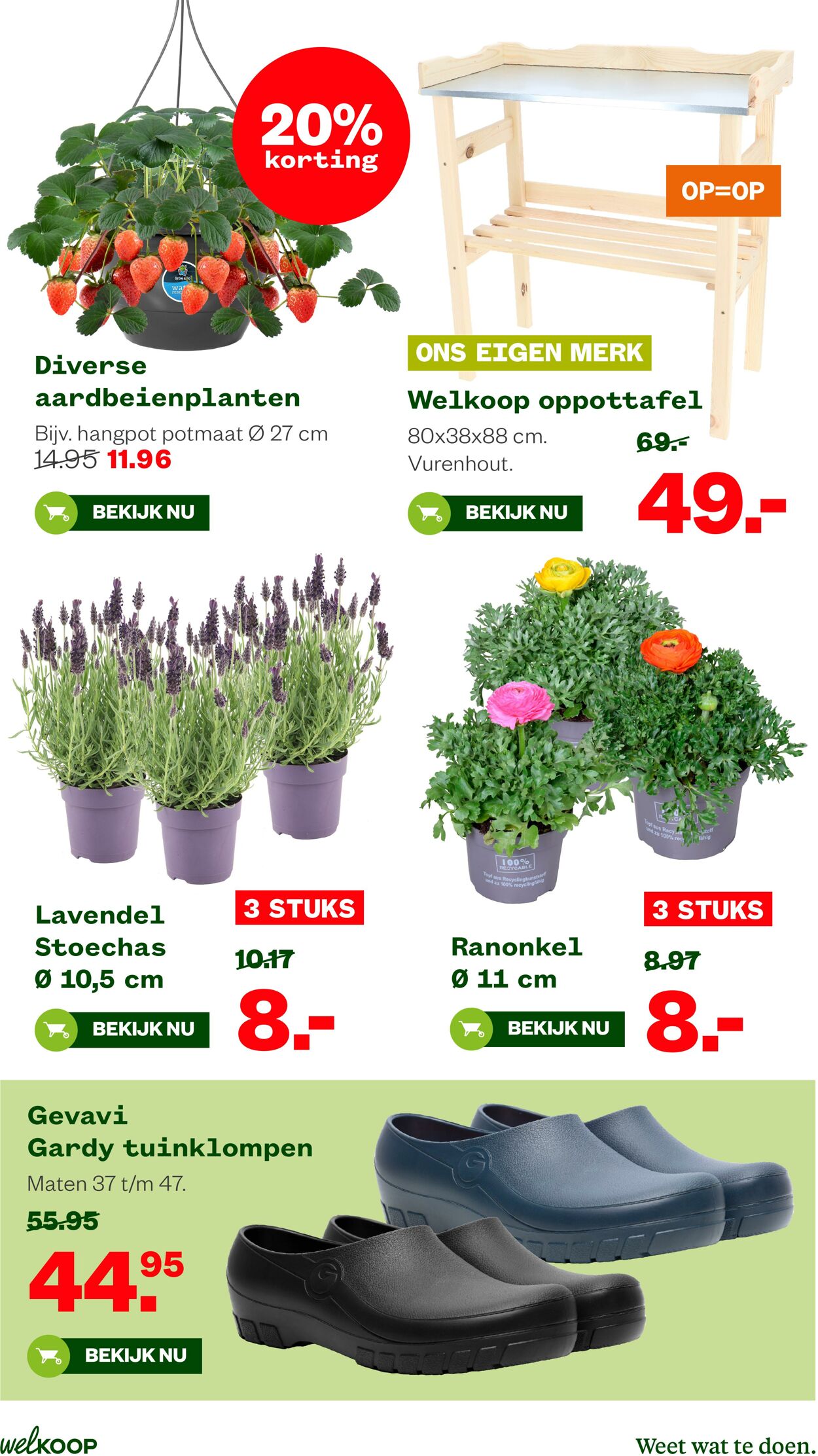 Folder Welkoop 16.03.2026 - 24.03.2026