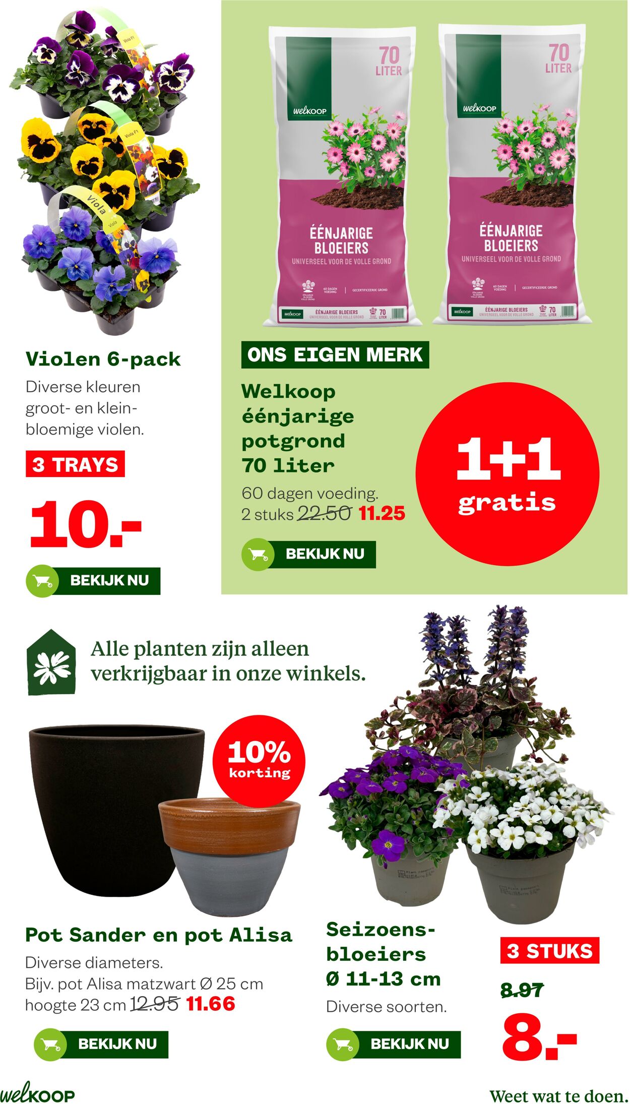 Folder Welkoop 17.03.2026 - 25.03.2026